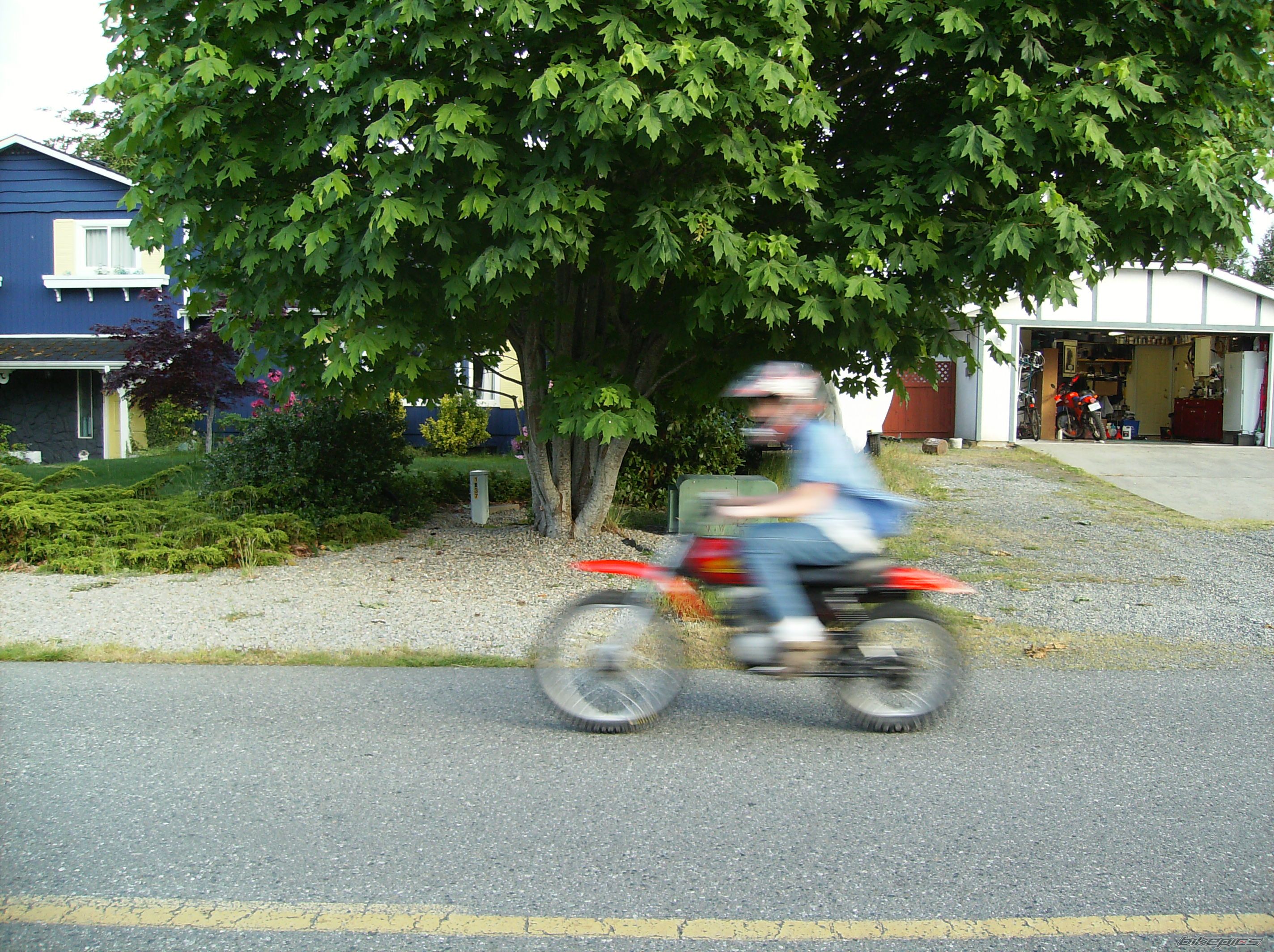 Photo 1326437