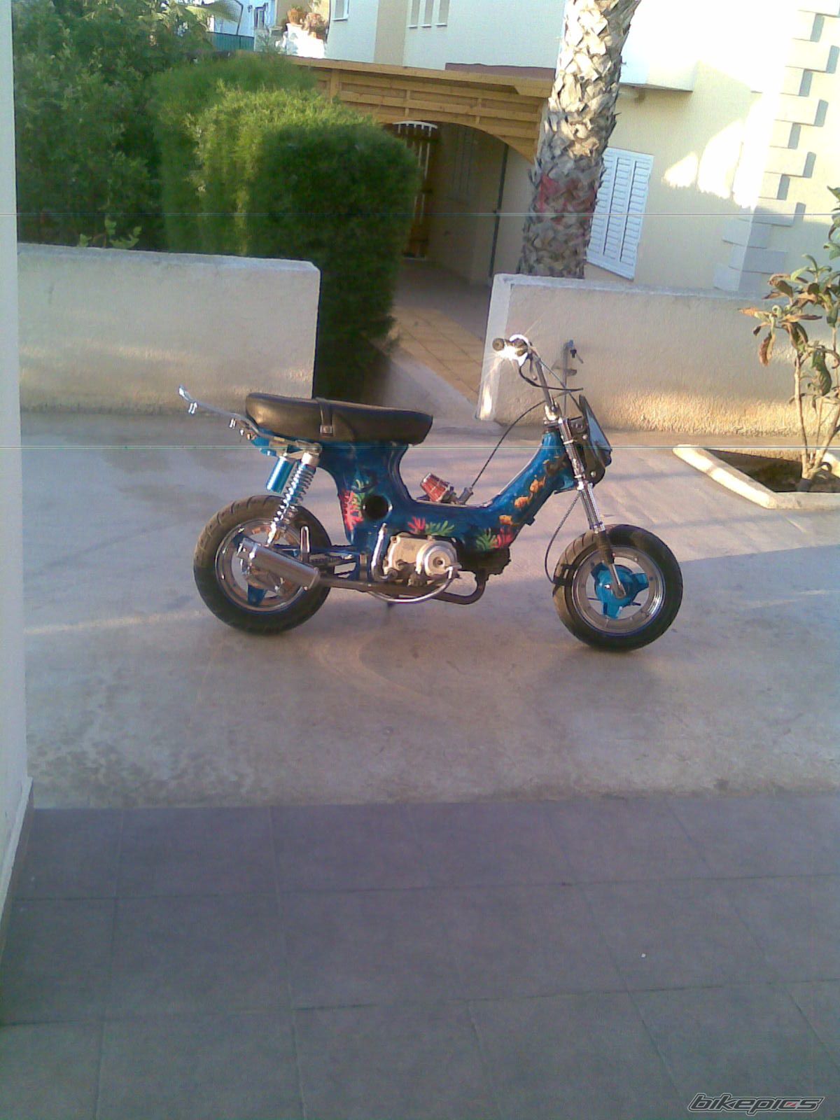 Photo 1326584