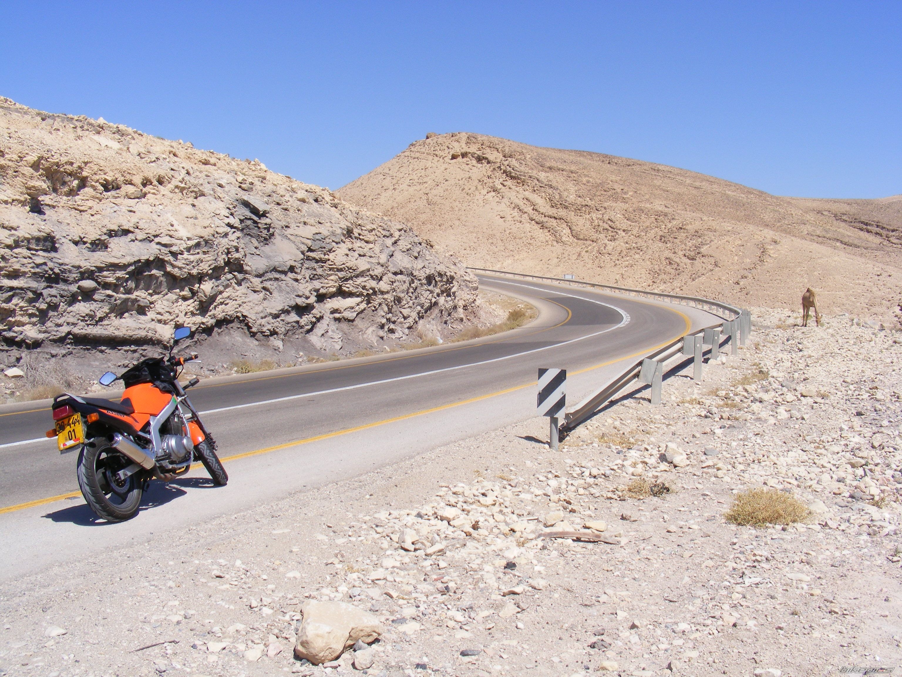 Bike Photo 1326959