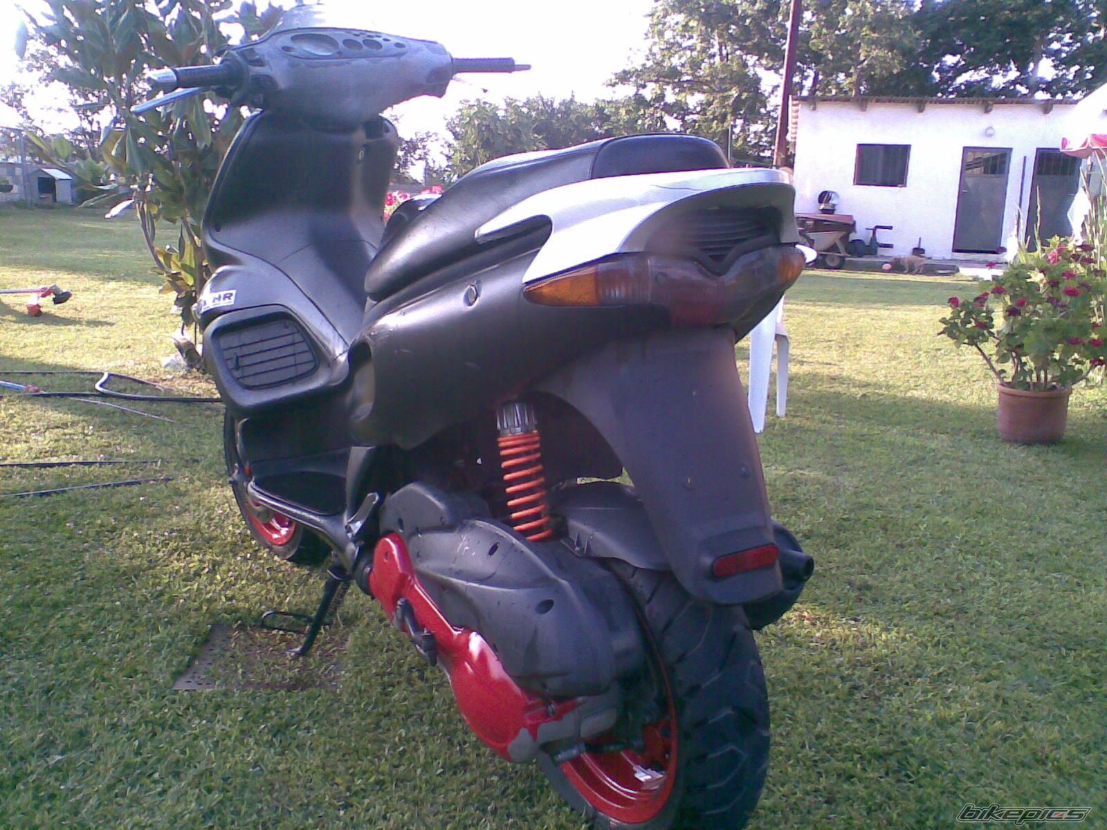 Photo 1326979