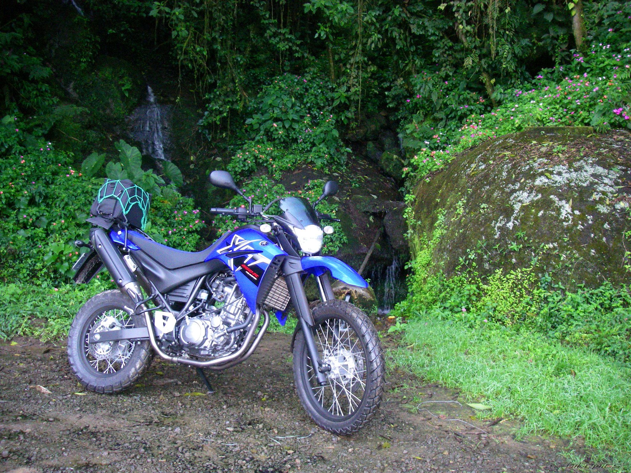Photo 1326988
