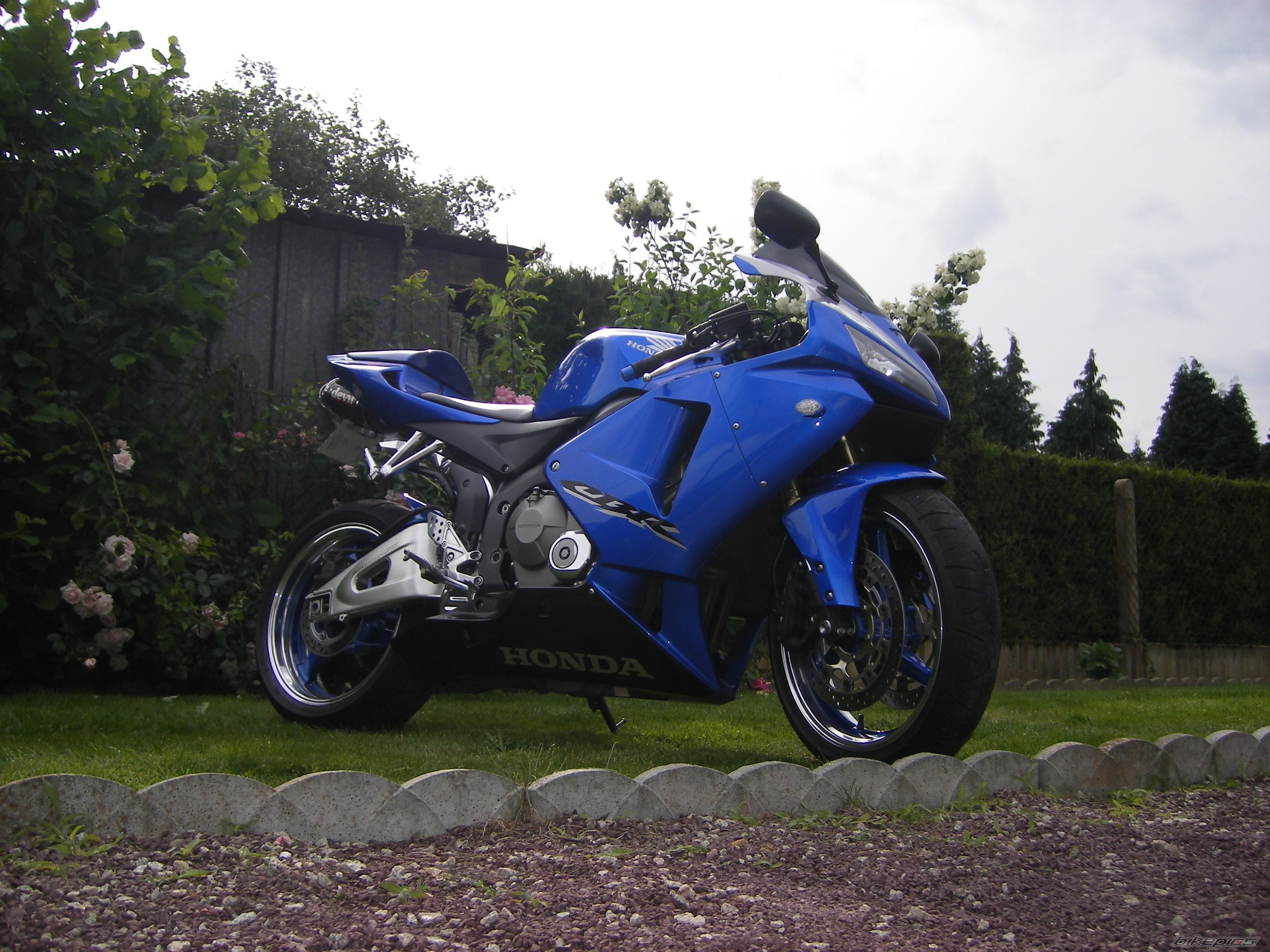 Photo 1327034