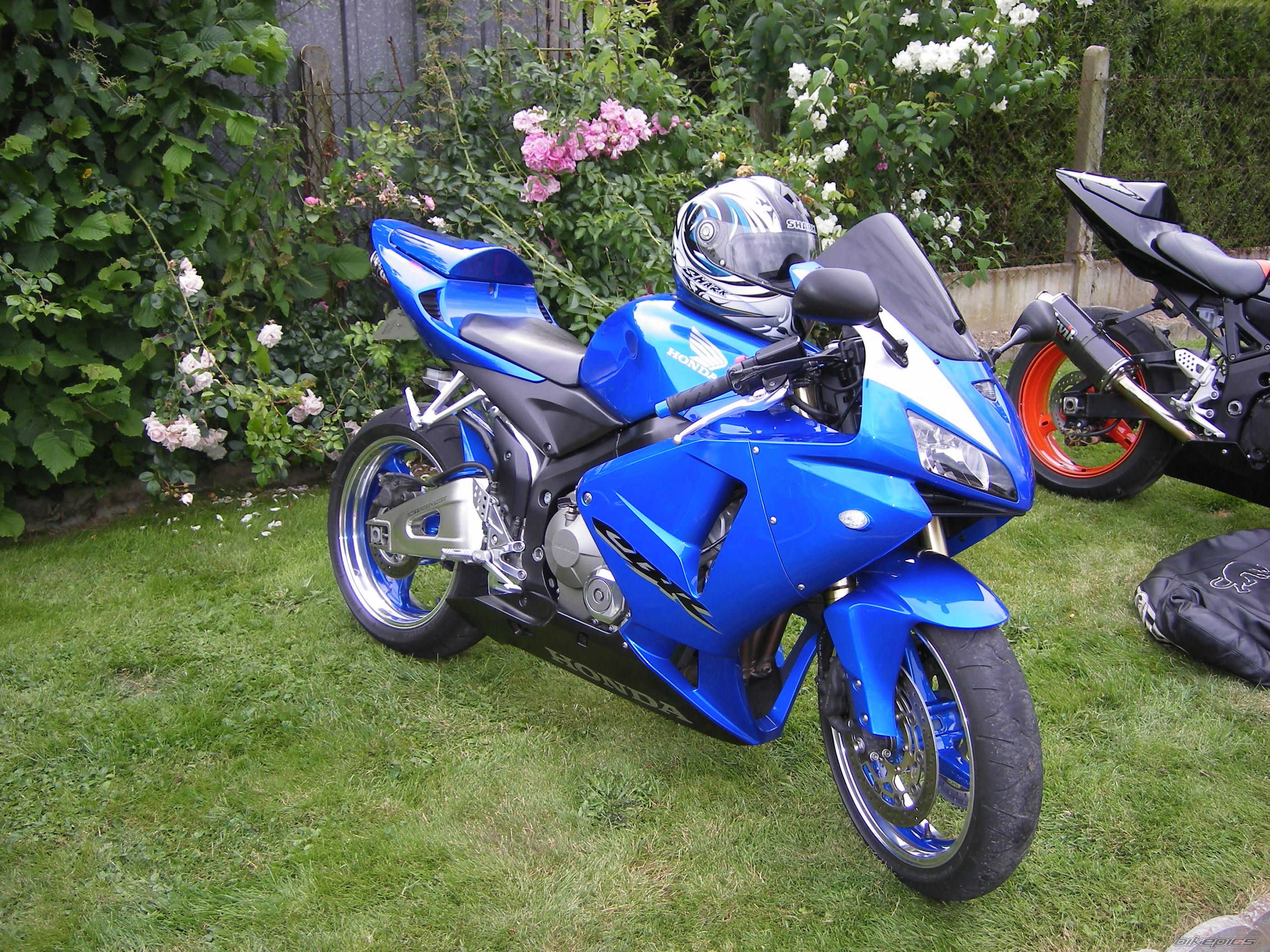 Photo 1327039