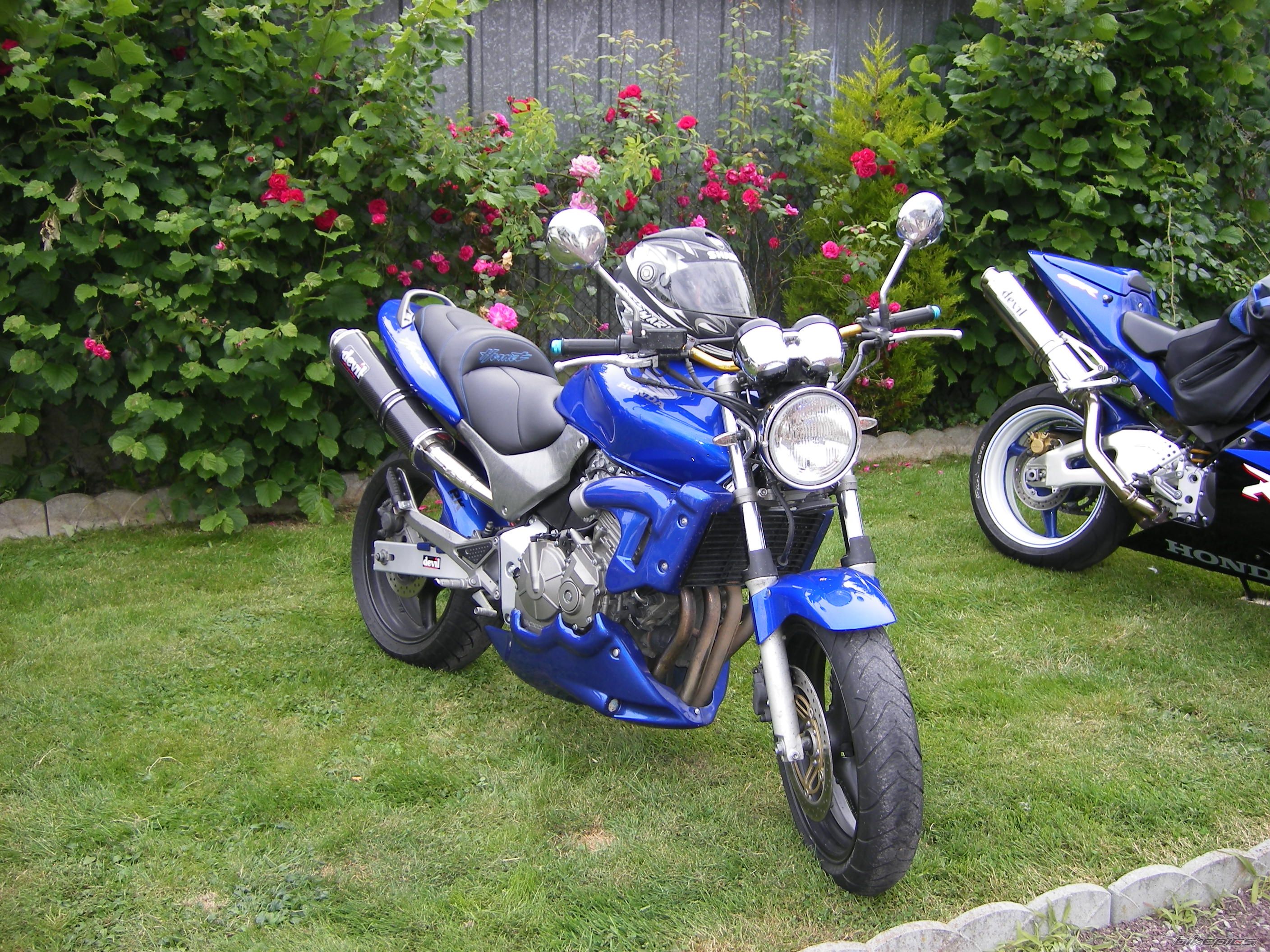 Photo 1327055