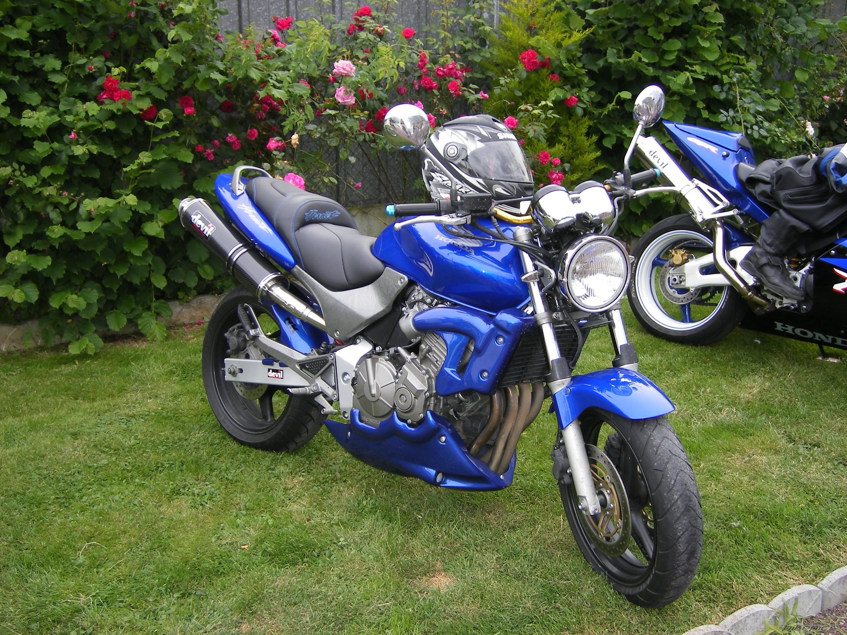 Photo 1327057