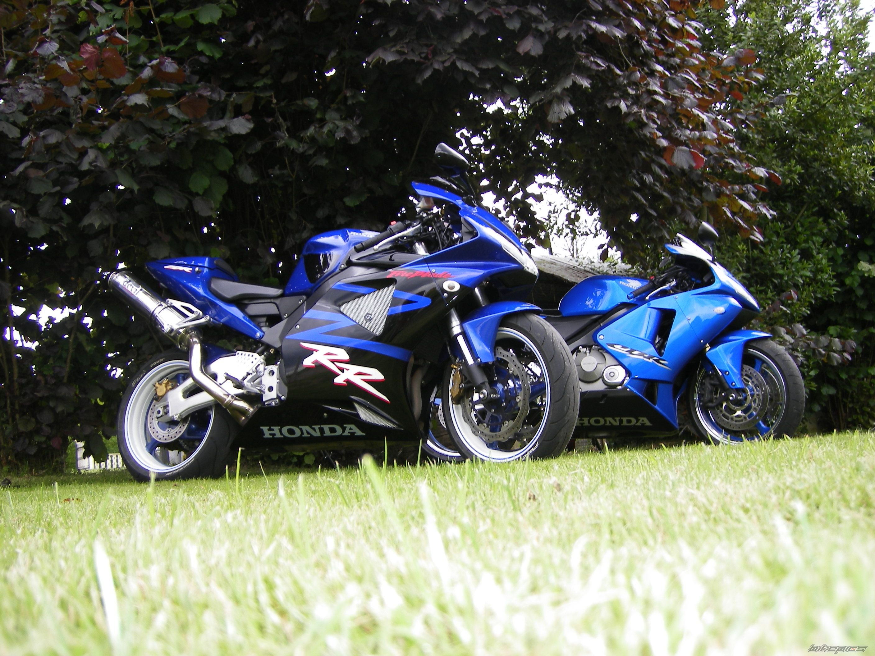Photo 1327064