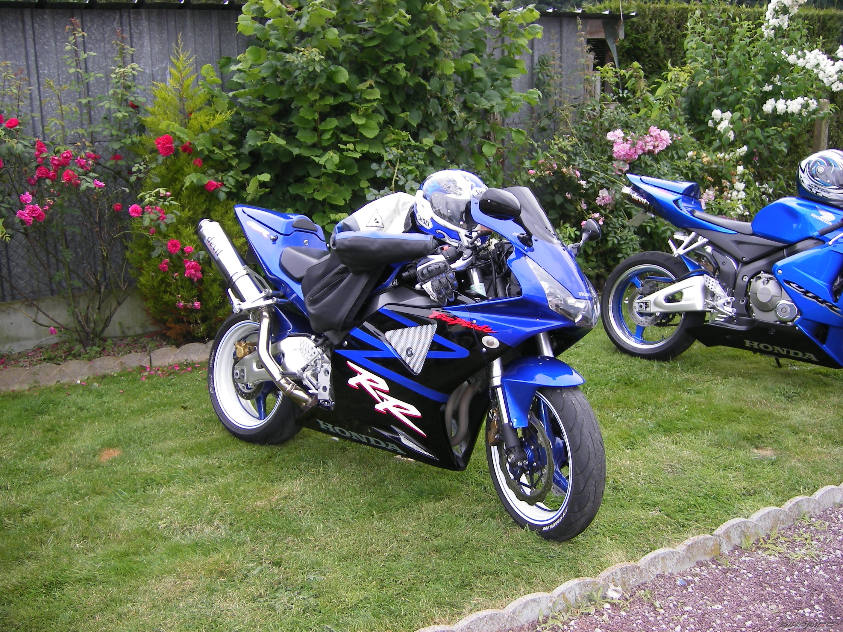 Photo 1327069
