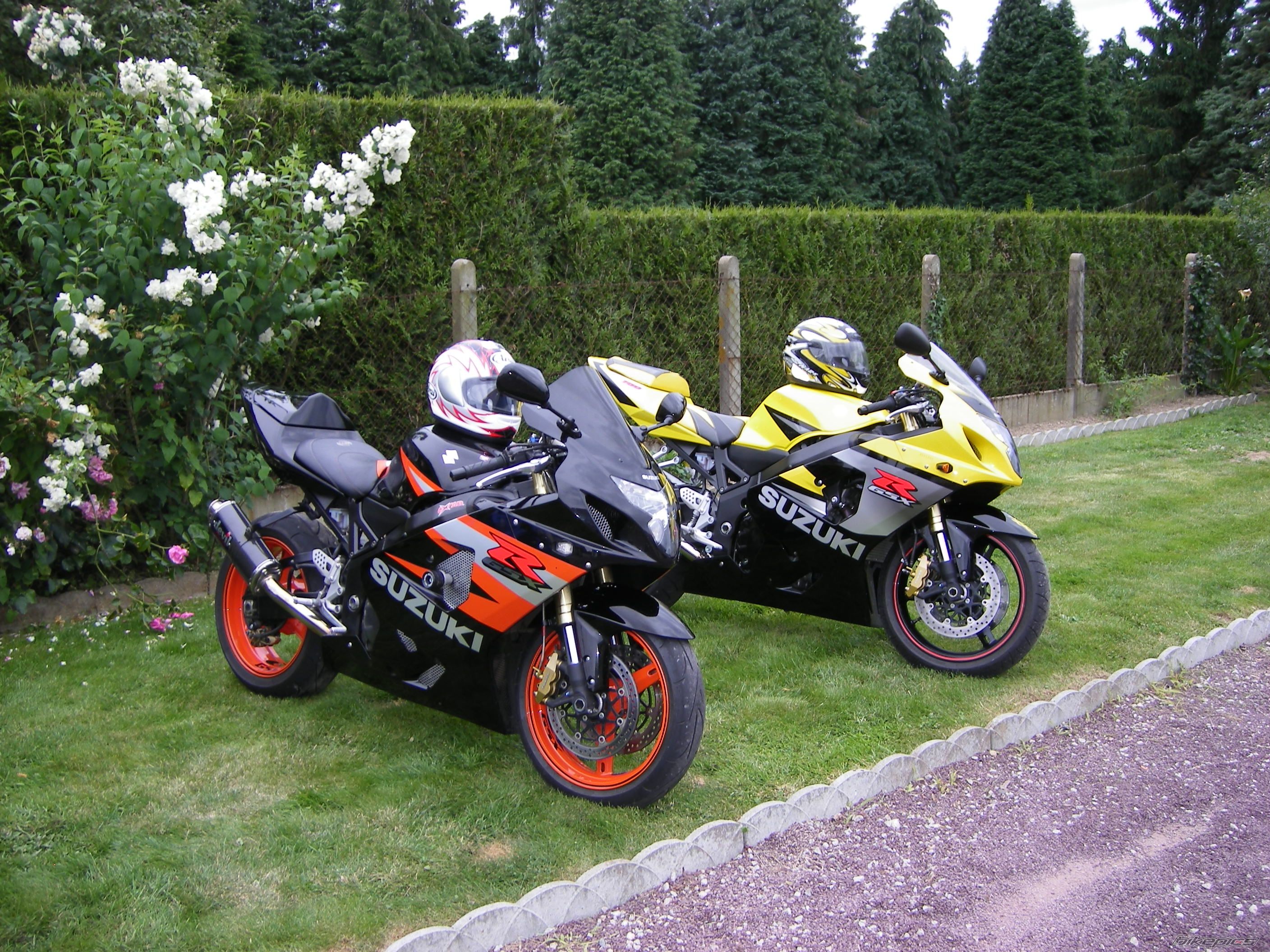 Photo 1327107