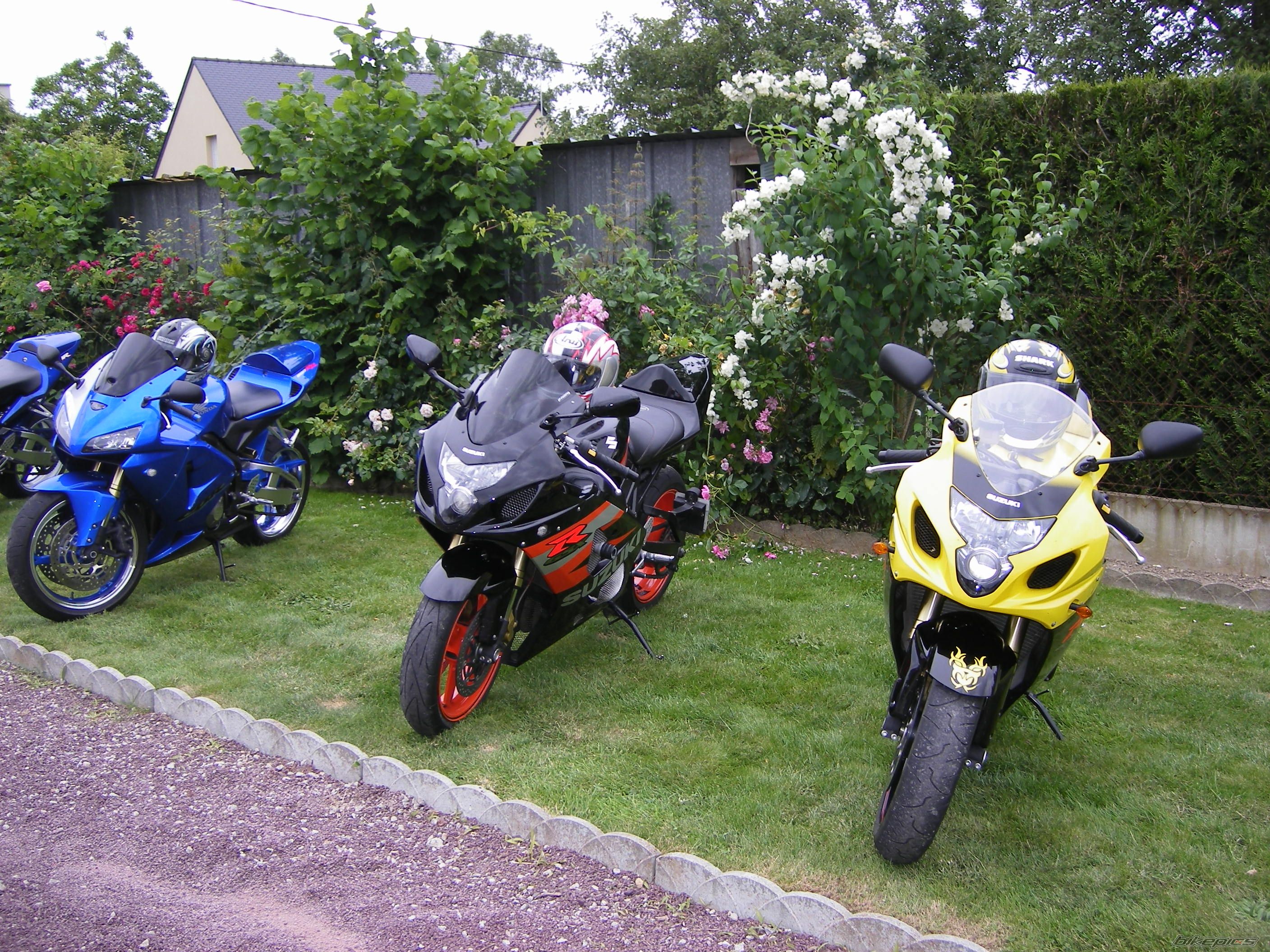 Photo 1327108