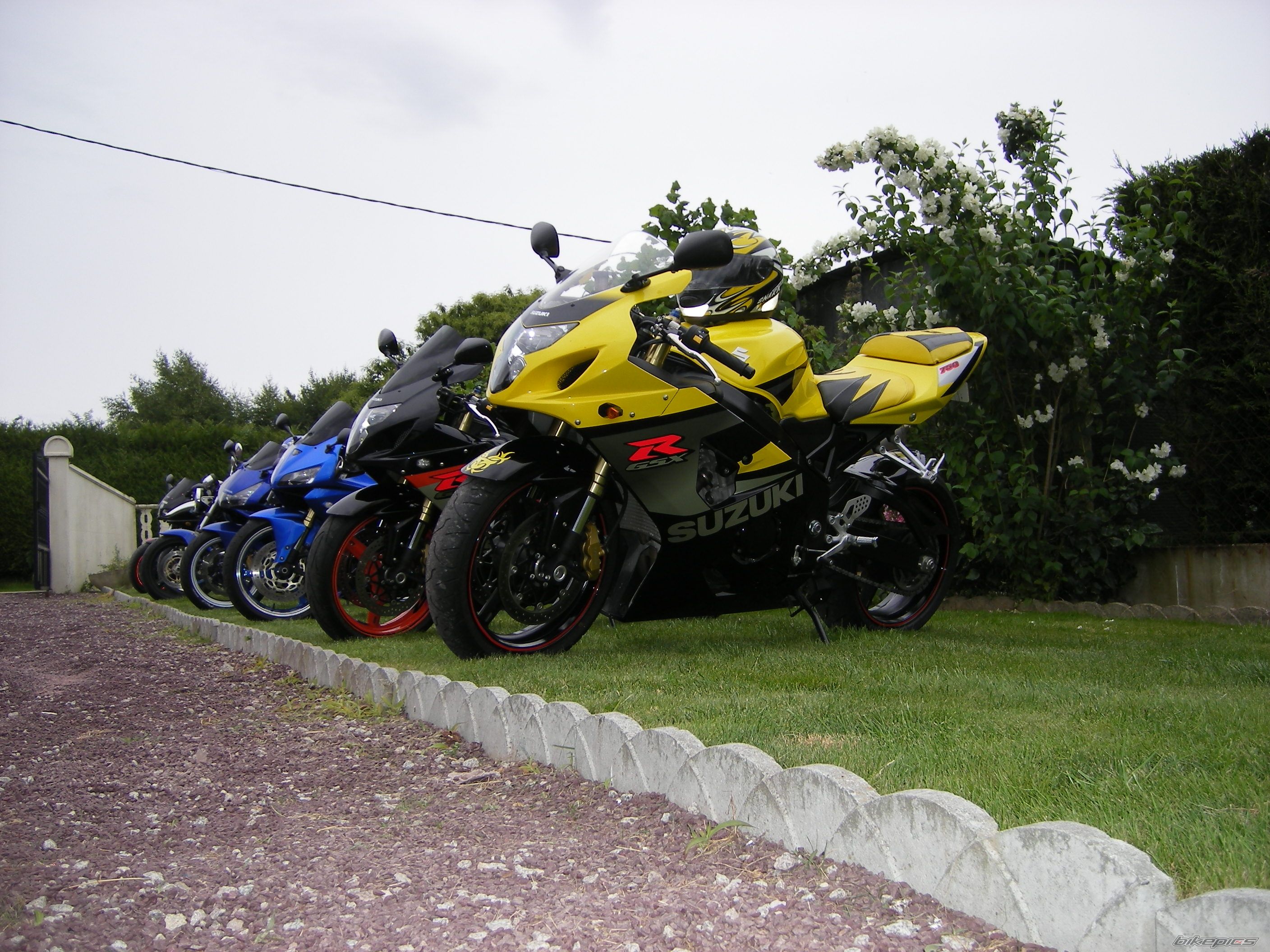 Photo 1327121