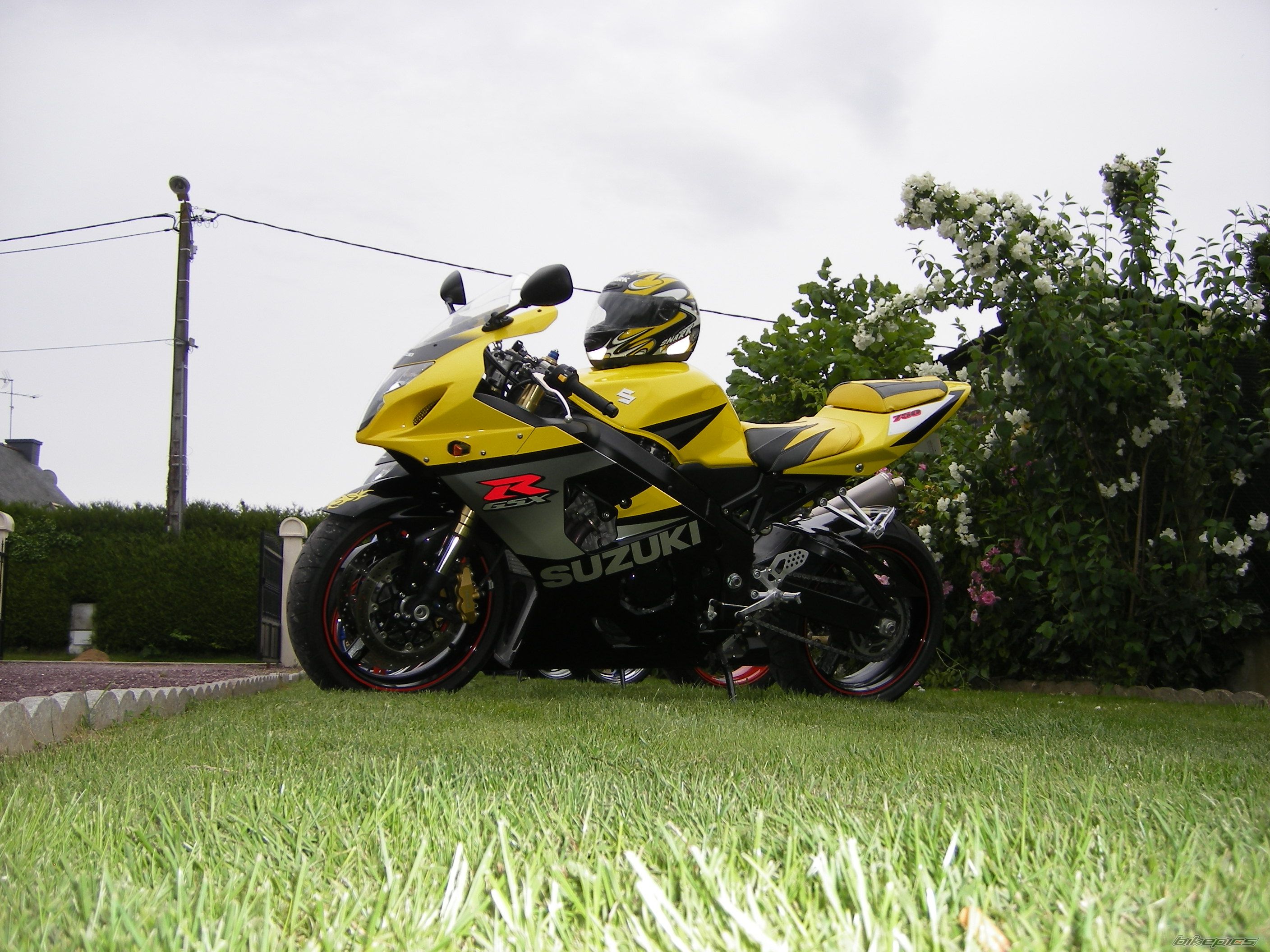 Photo 1327122