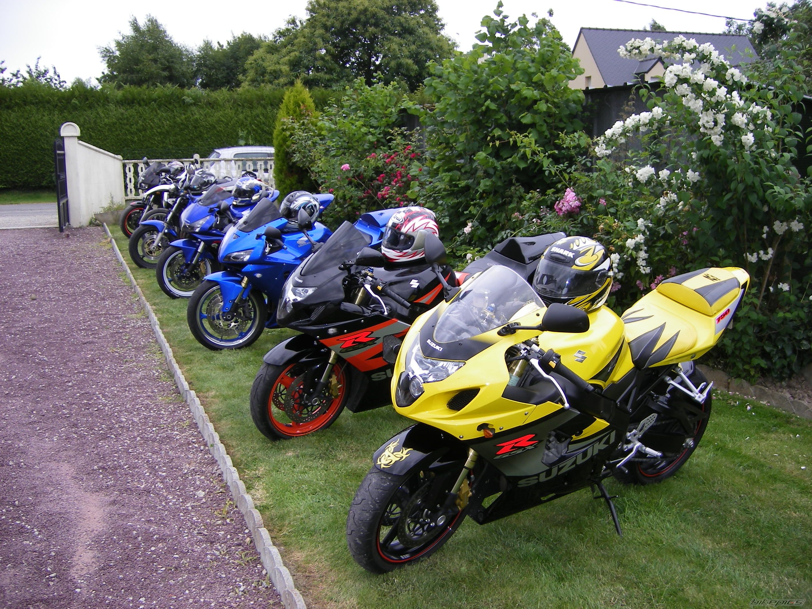 Photo 1327144