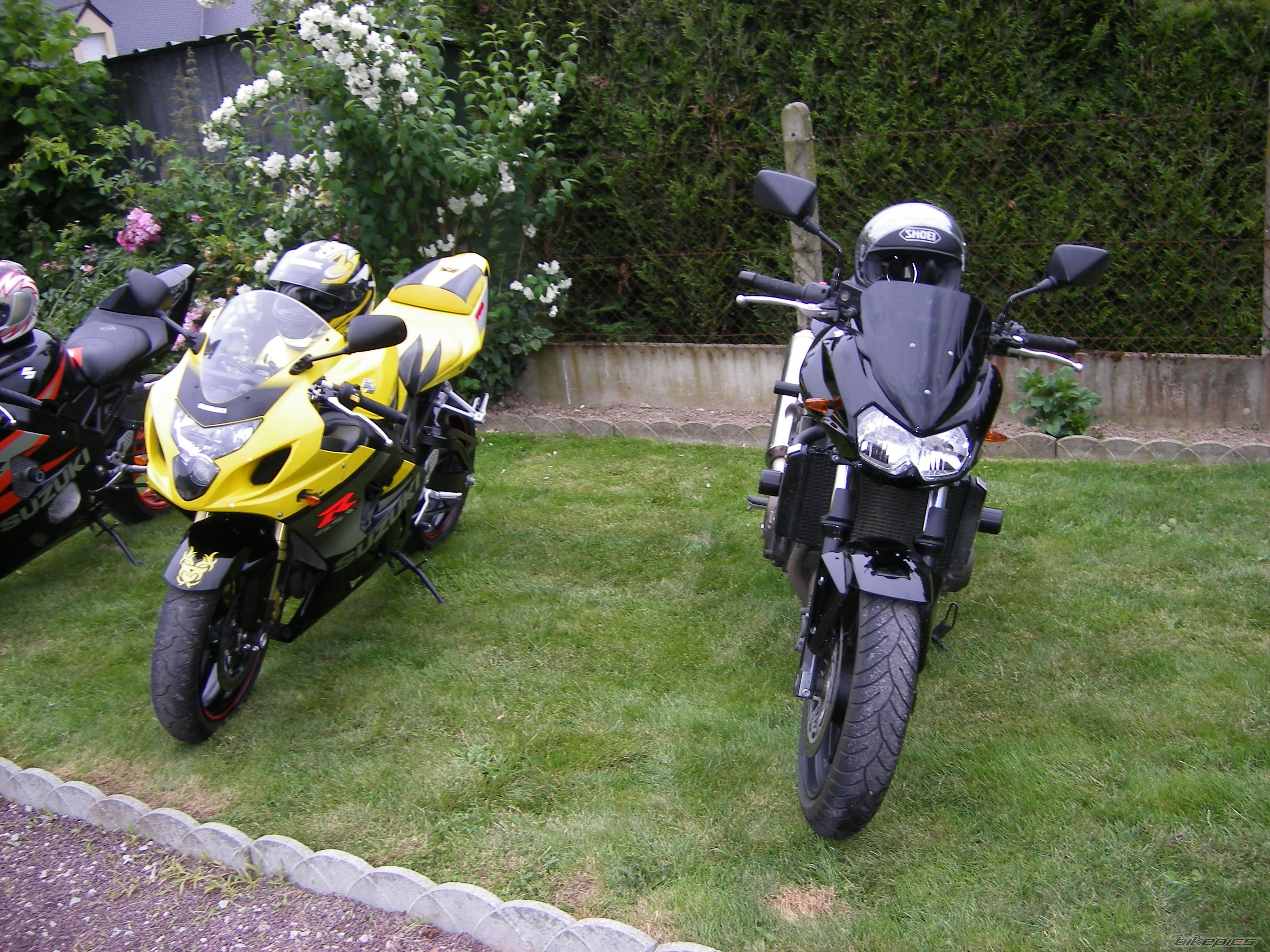 Photo 1327149