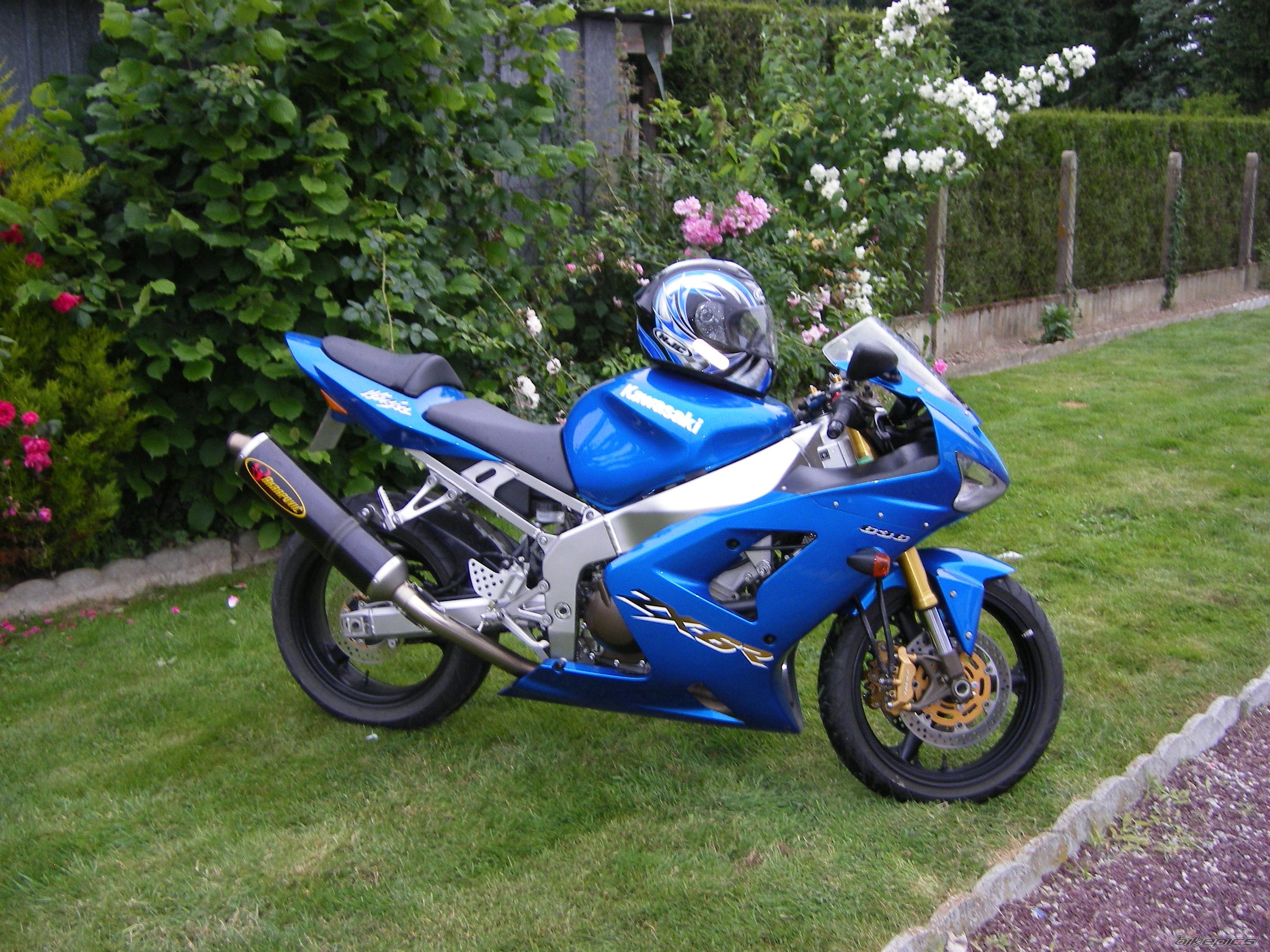 Photo 1327157