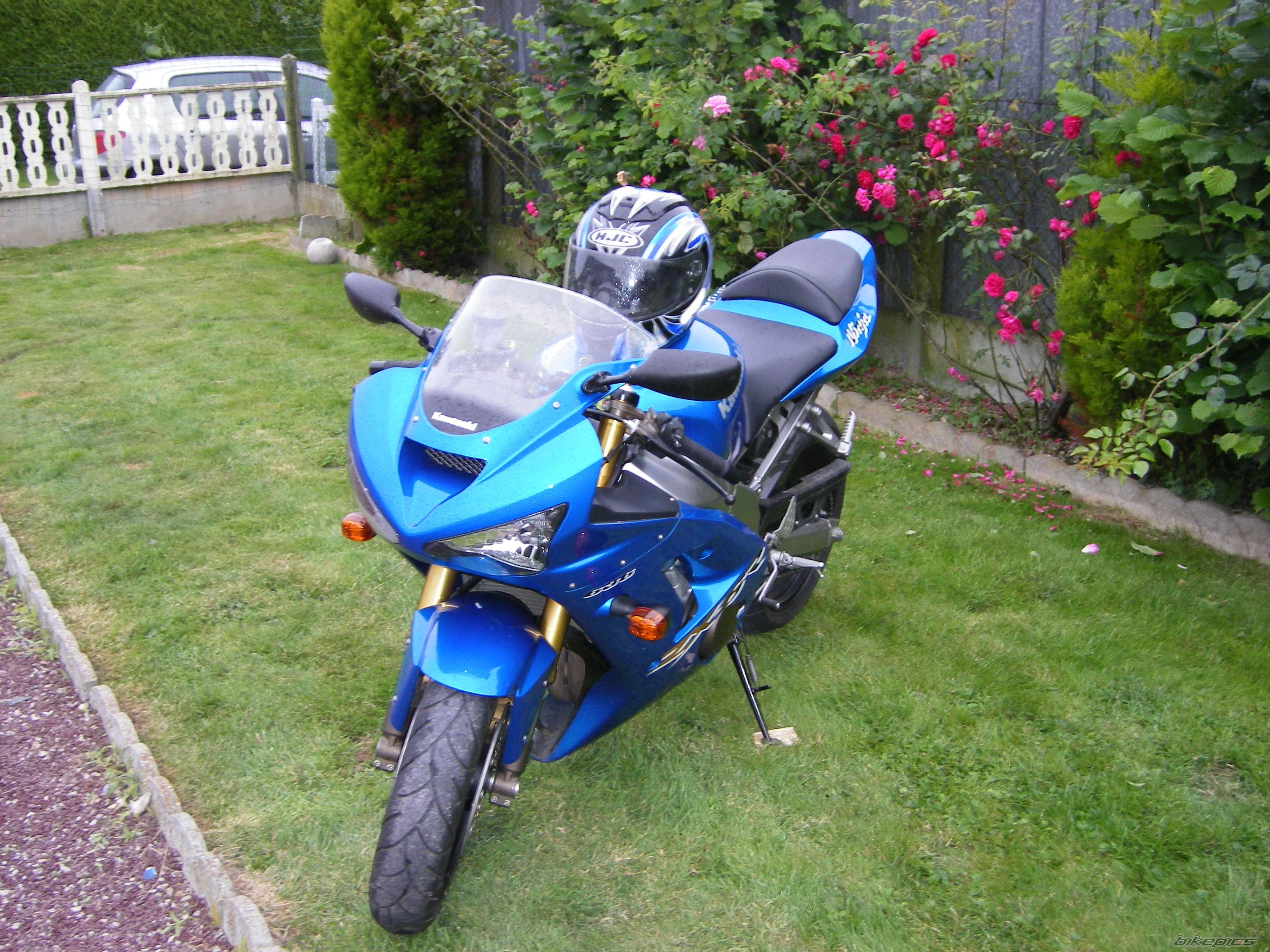 Photo 1327162