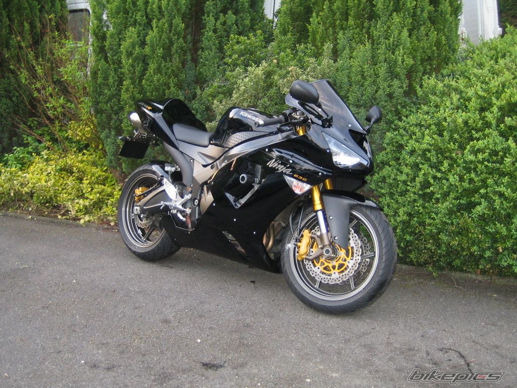 Photo 1327205