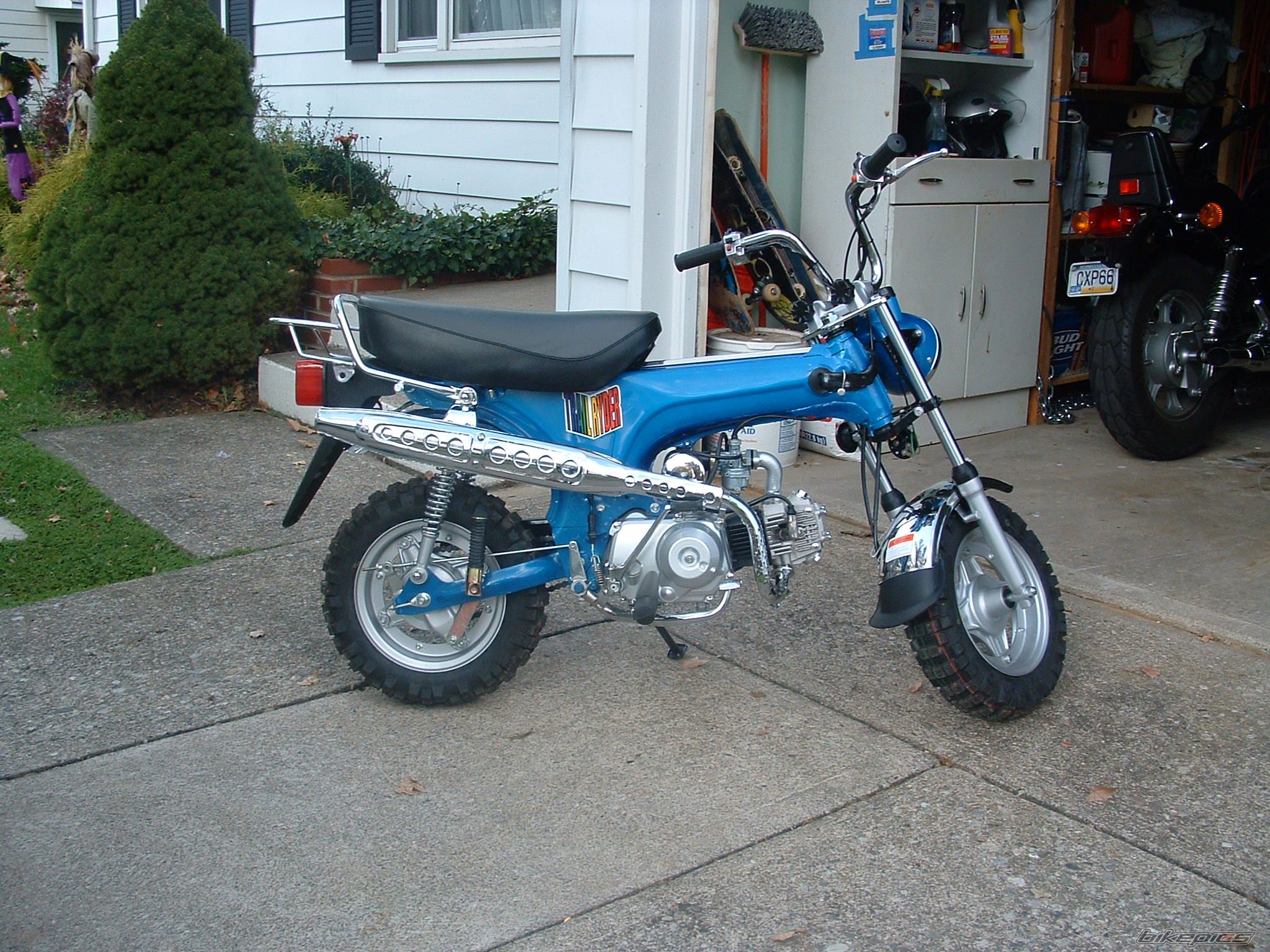 Photo 1327233