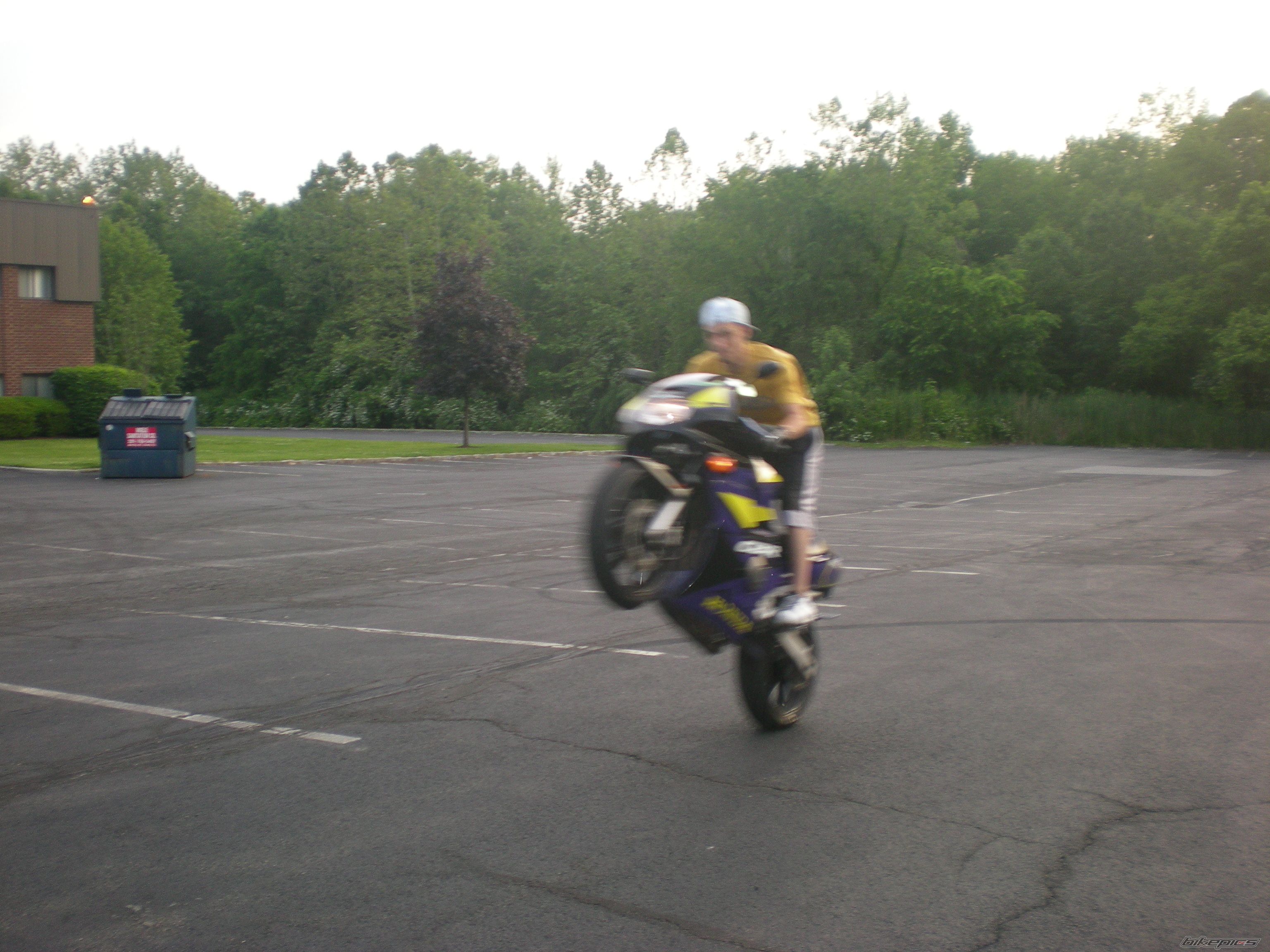 Photo 1327255