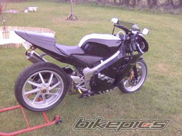 Photo 1327275