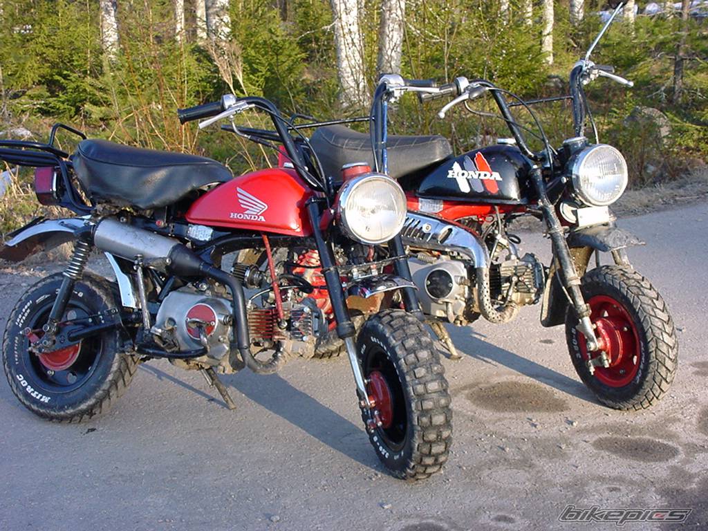 Photo 132737