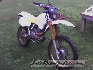 Photo 1327387
