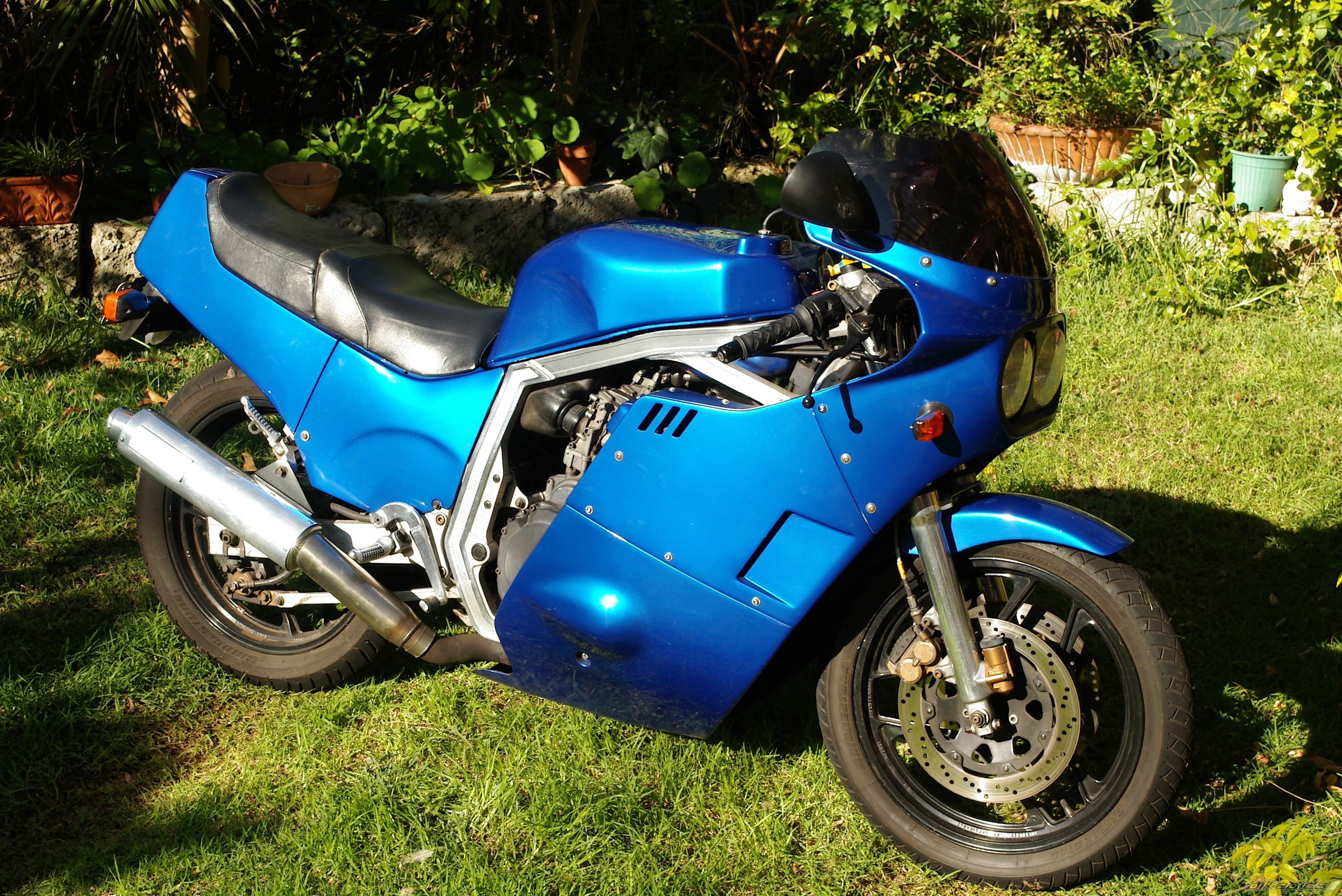 Photo 1327414