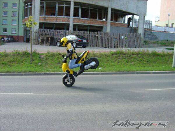 Photo 132745