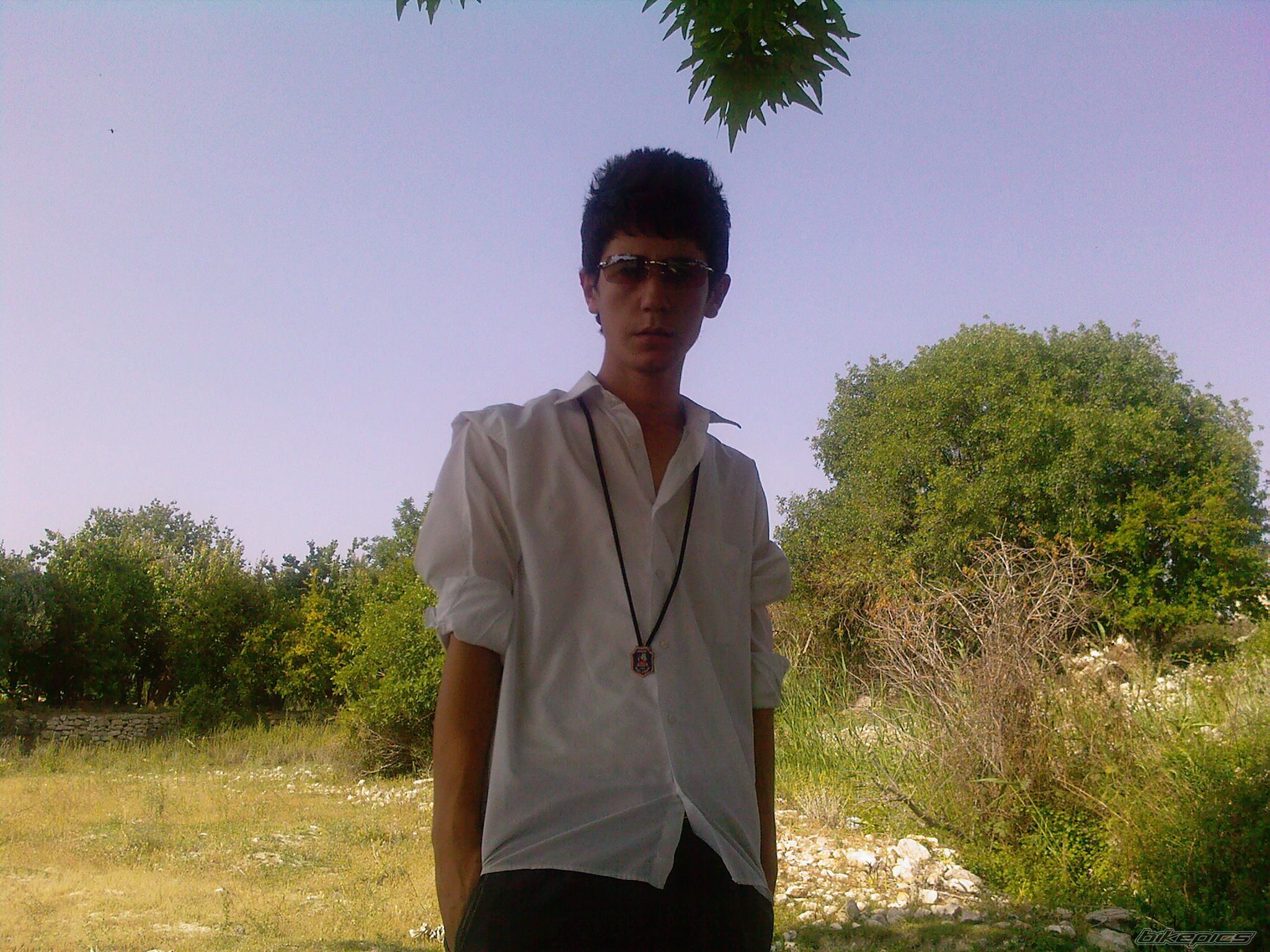 Photo 1327471