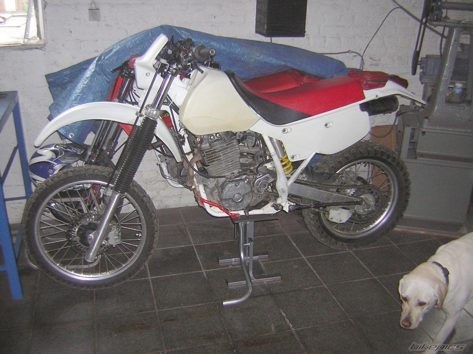 Photo 1327512
