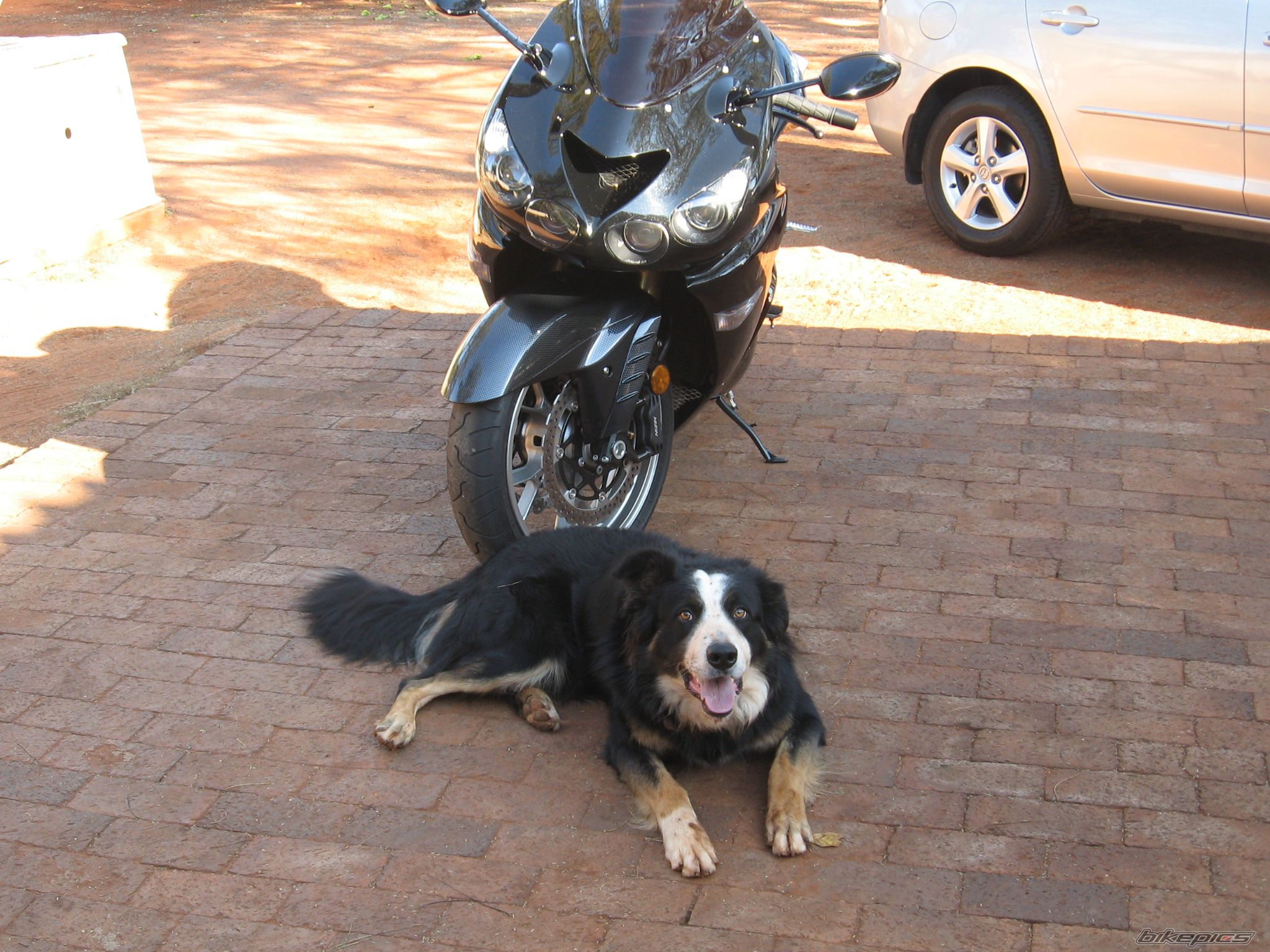 Photo 1327521