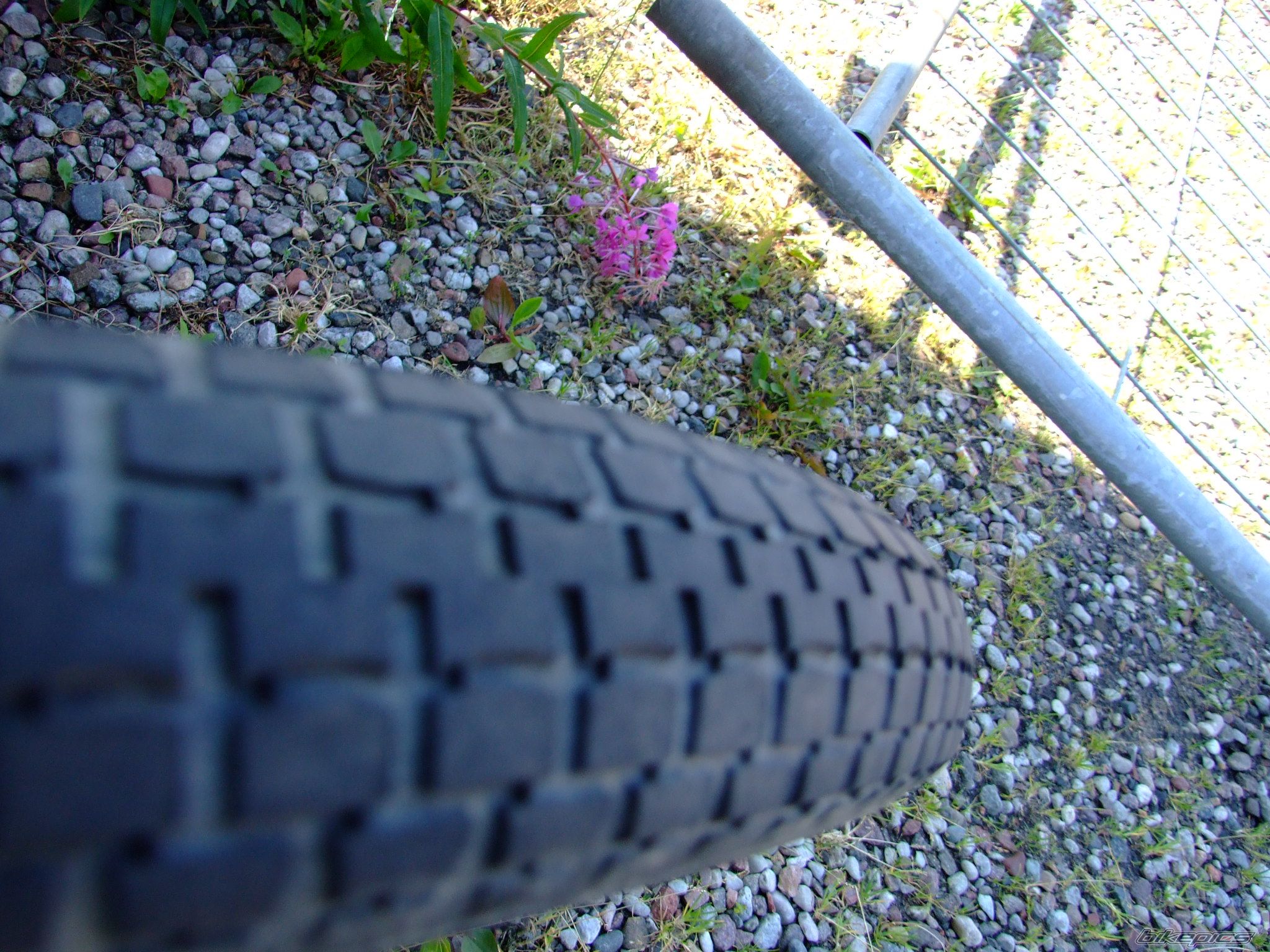 Photo 1327565