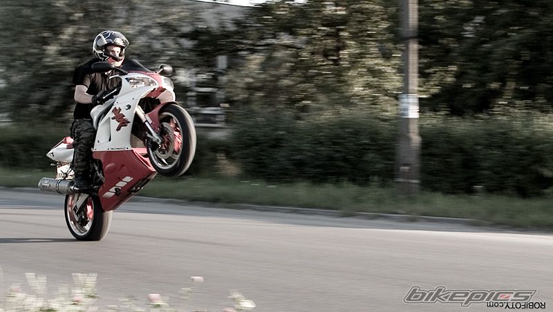 Photo 1327645