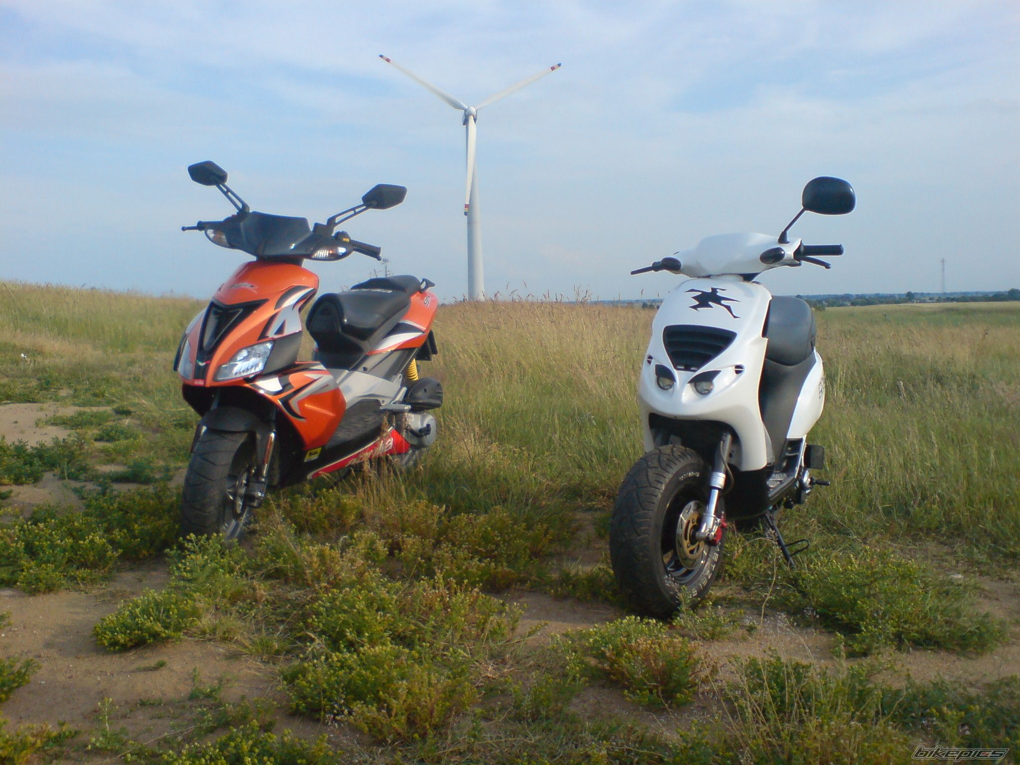 Photo 1327661