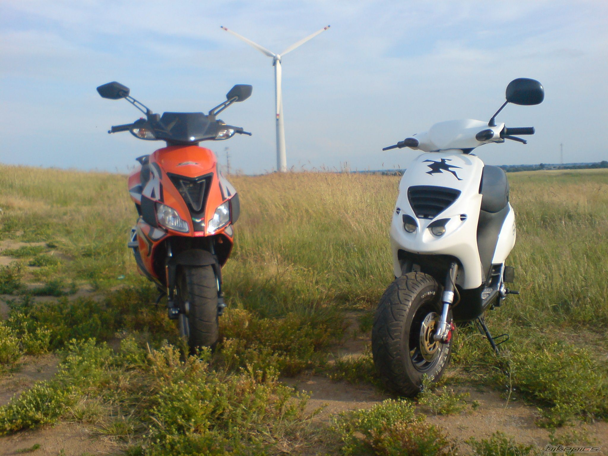 Photo 1327665