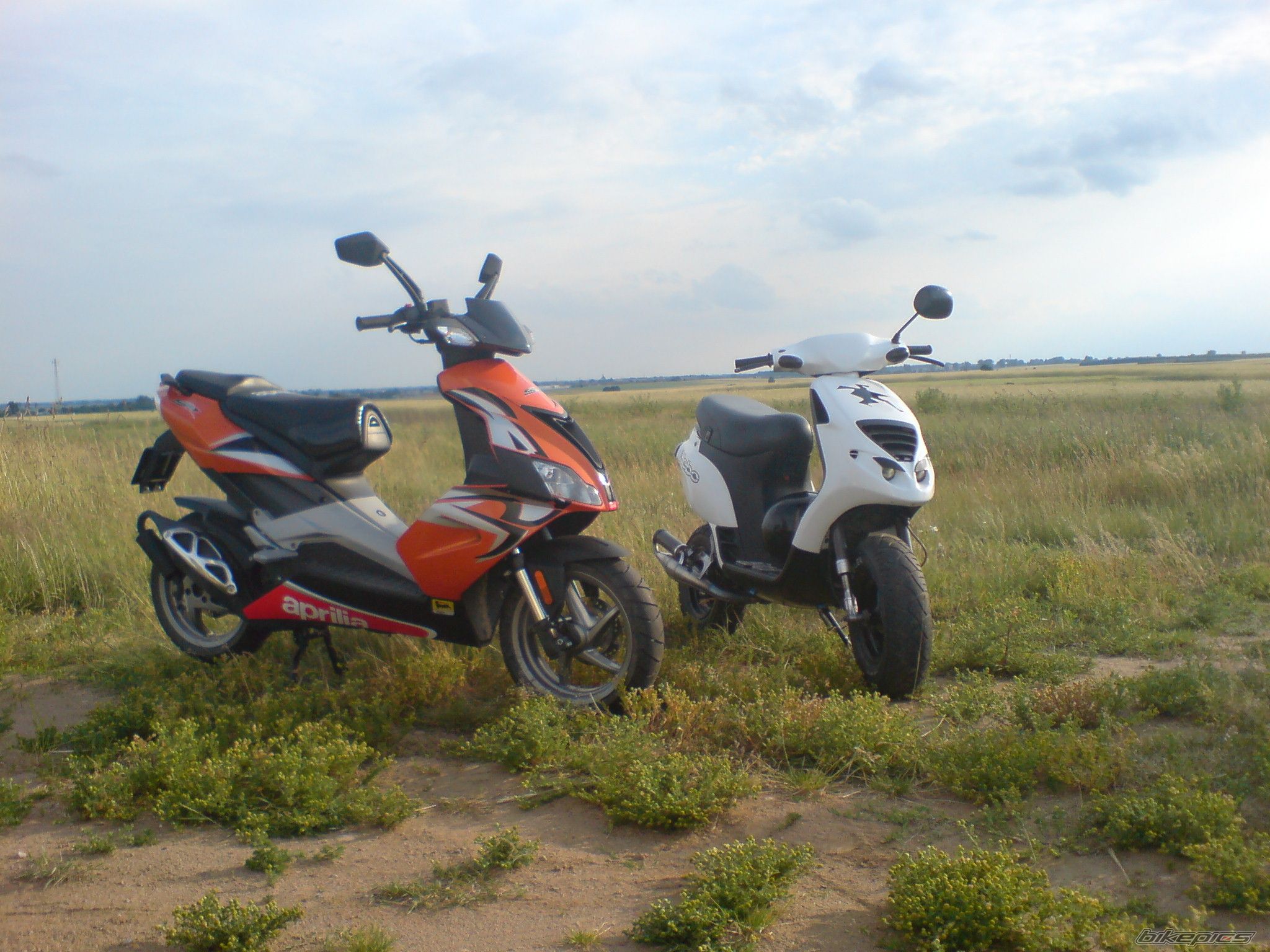 Photo 1327668