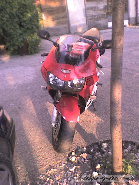Photo 1327672