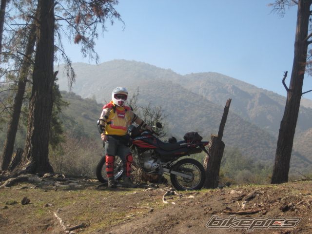 Photo 1327796