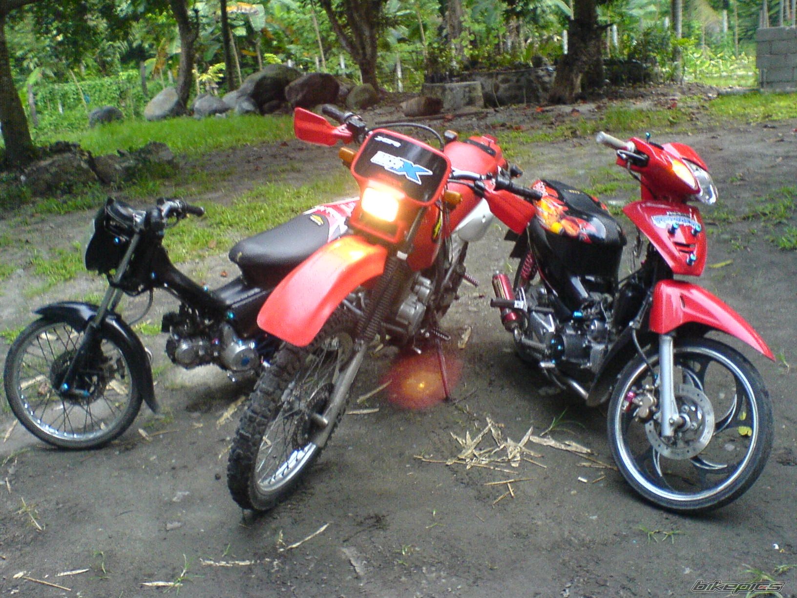 Photo 1327817