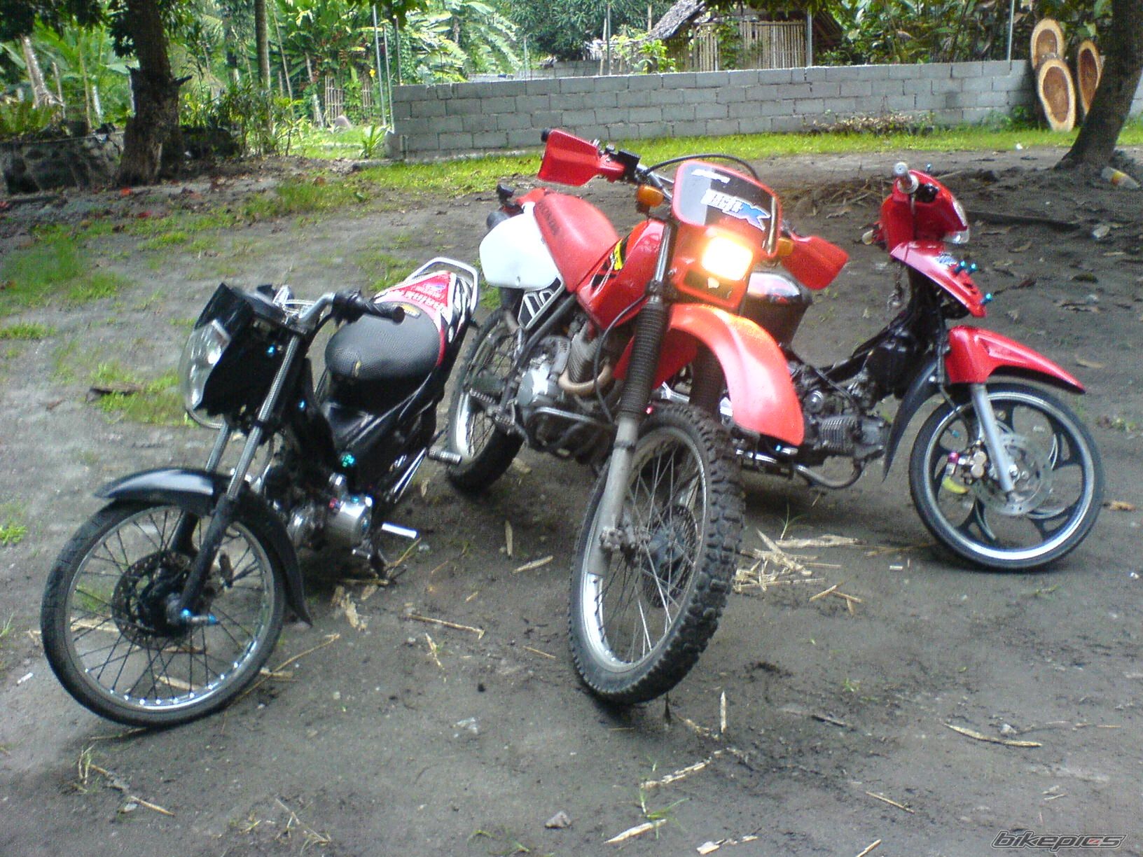 Photo 1327820