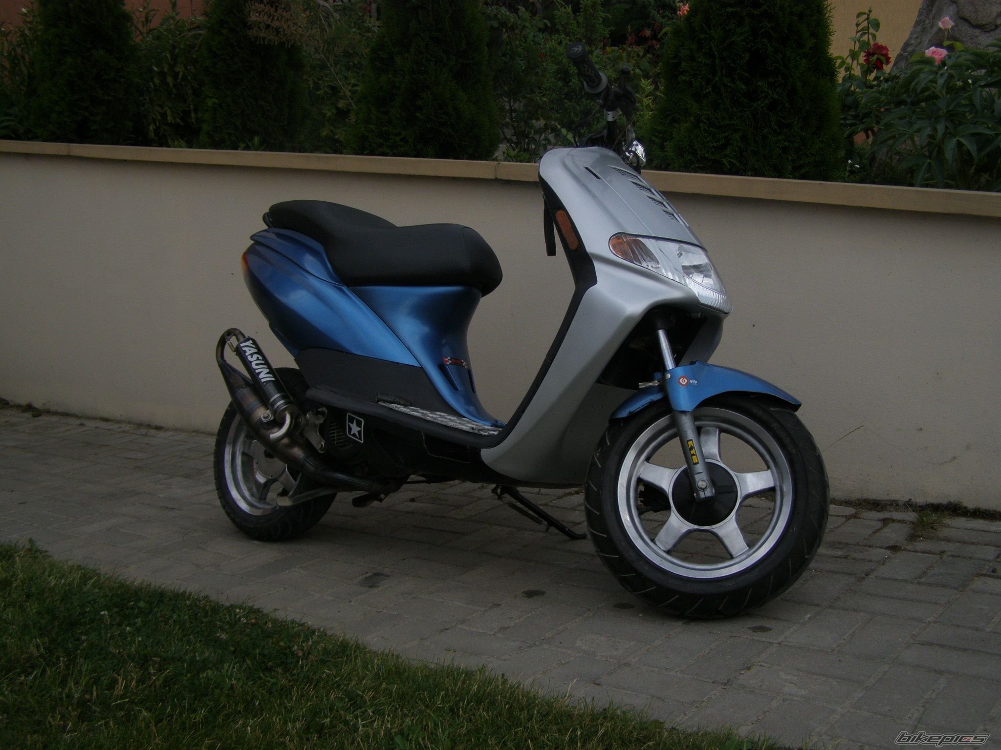 Photo 1327858