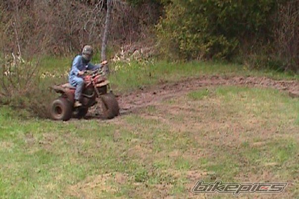 Photo 1327884