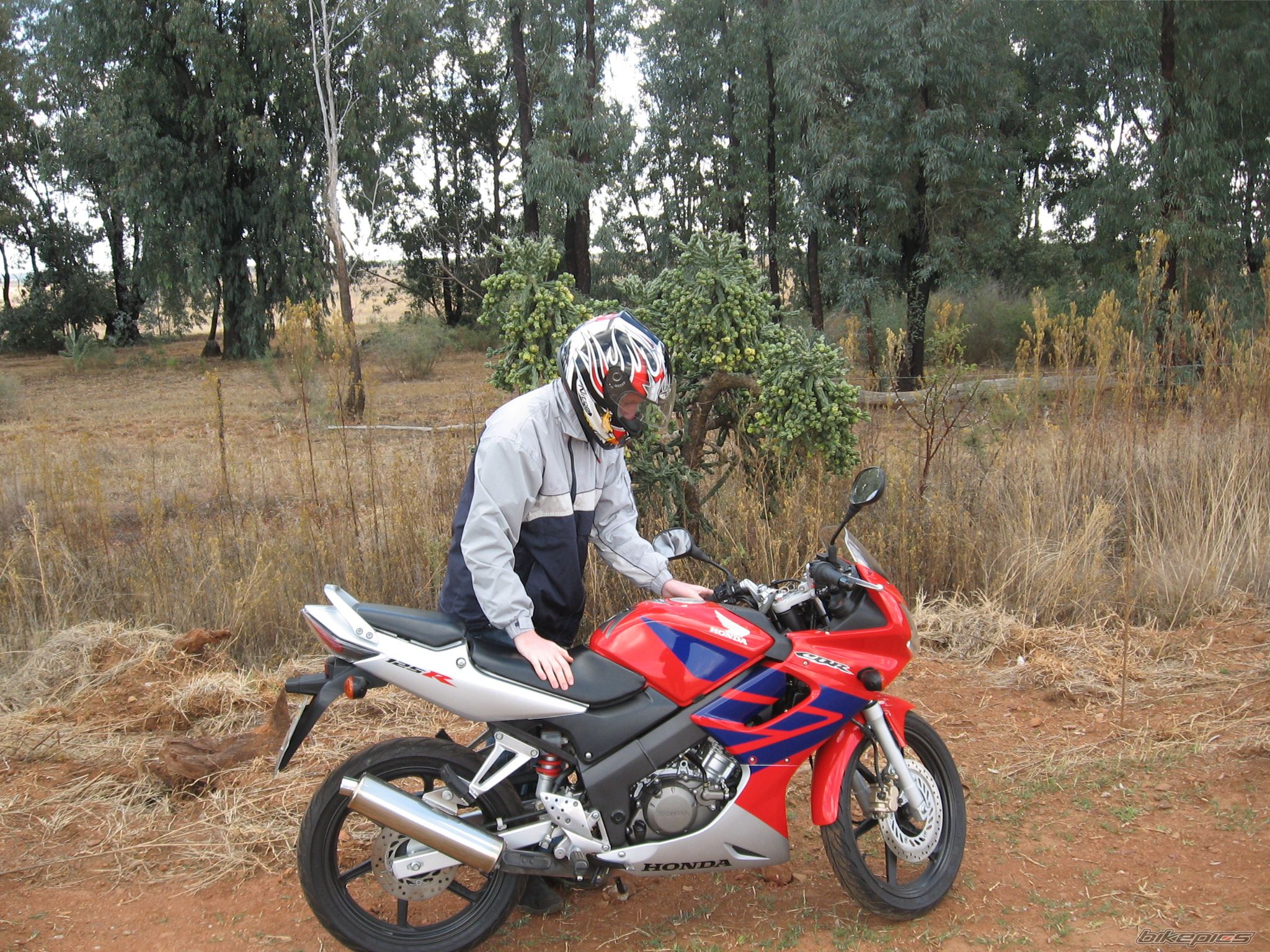 Photo 1327894