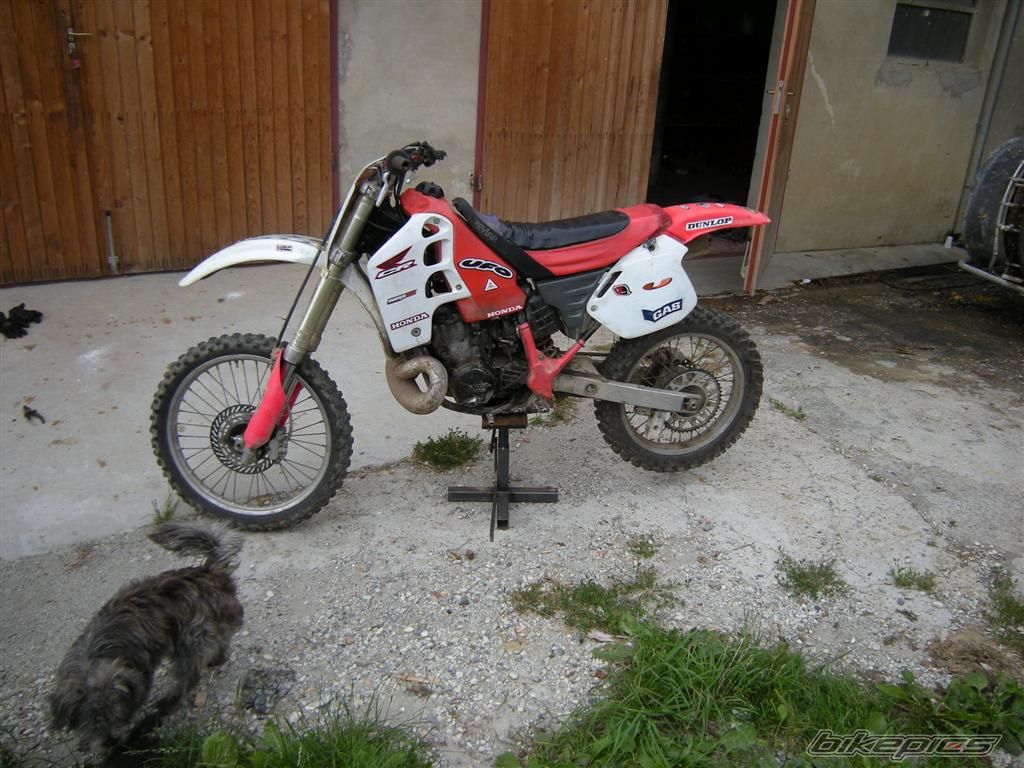 Photo 1327929