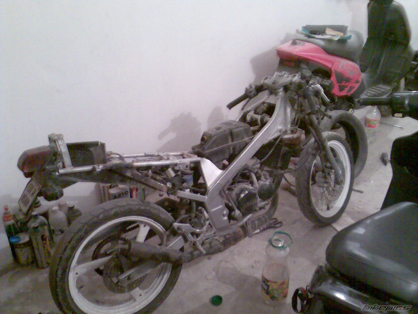 Photo 1328007