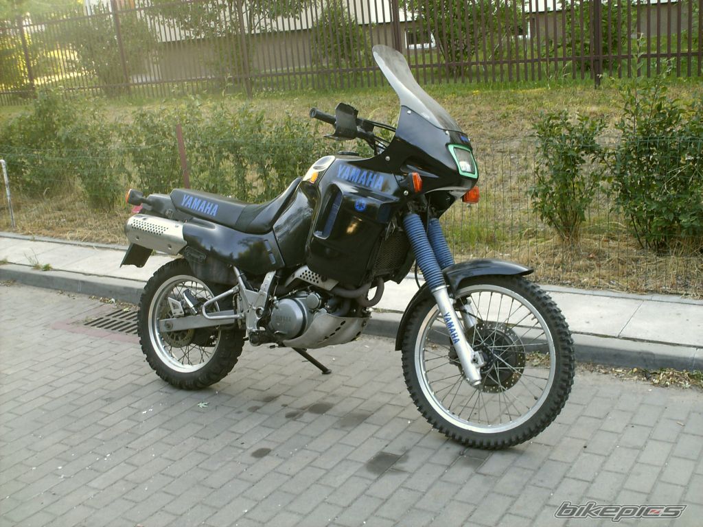 Photo 1328031