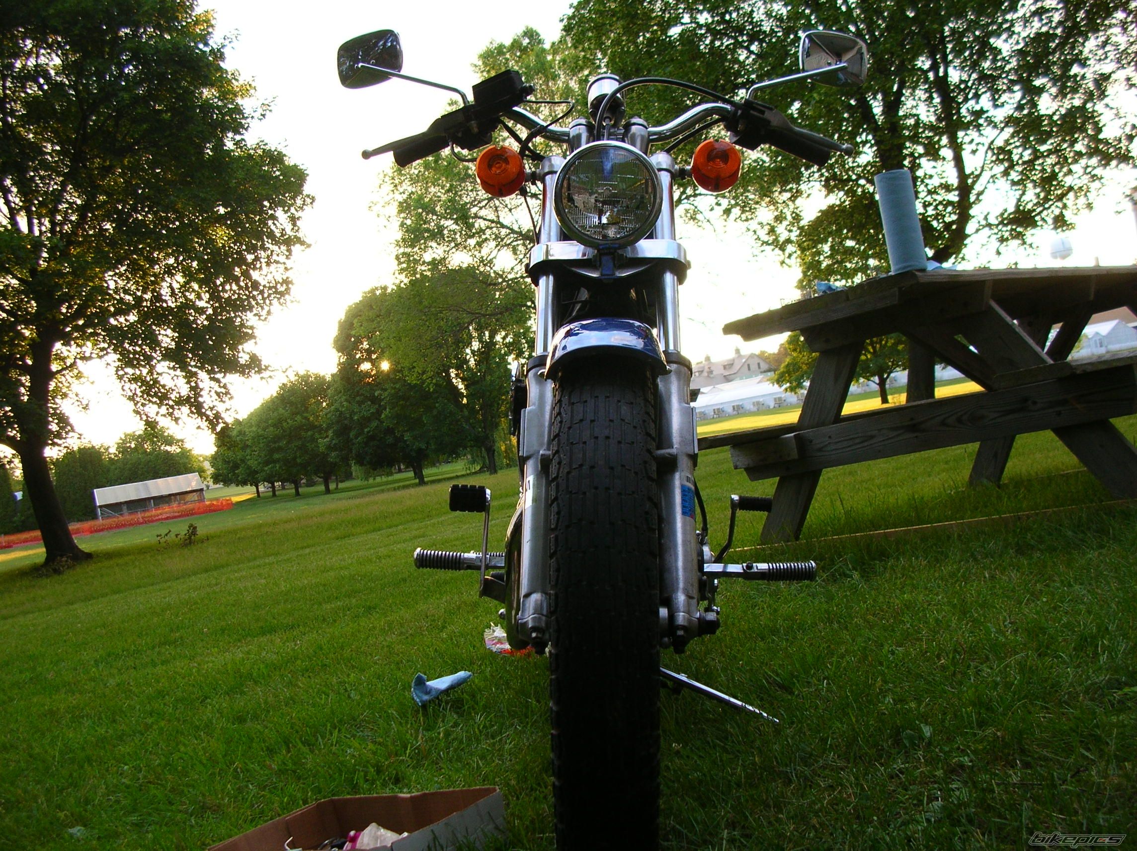 Photo 1328053