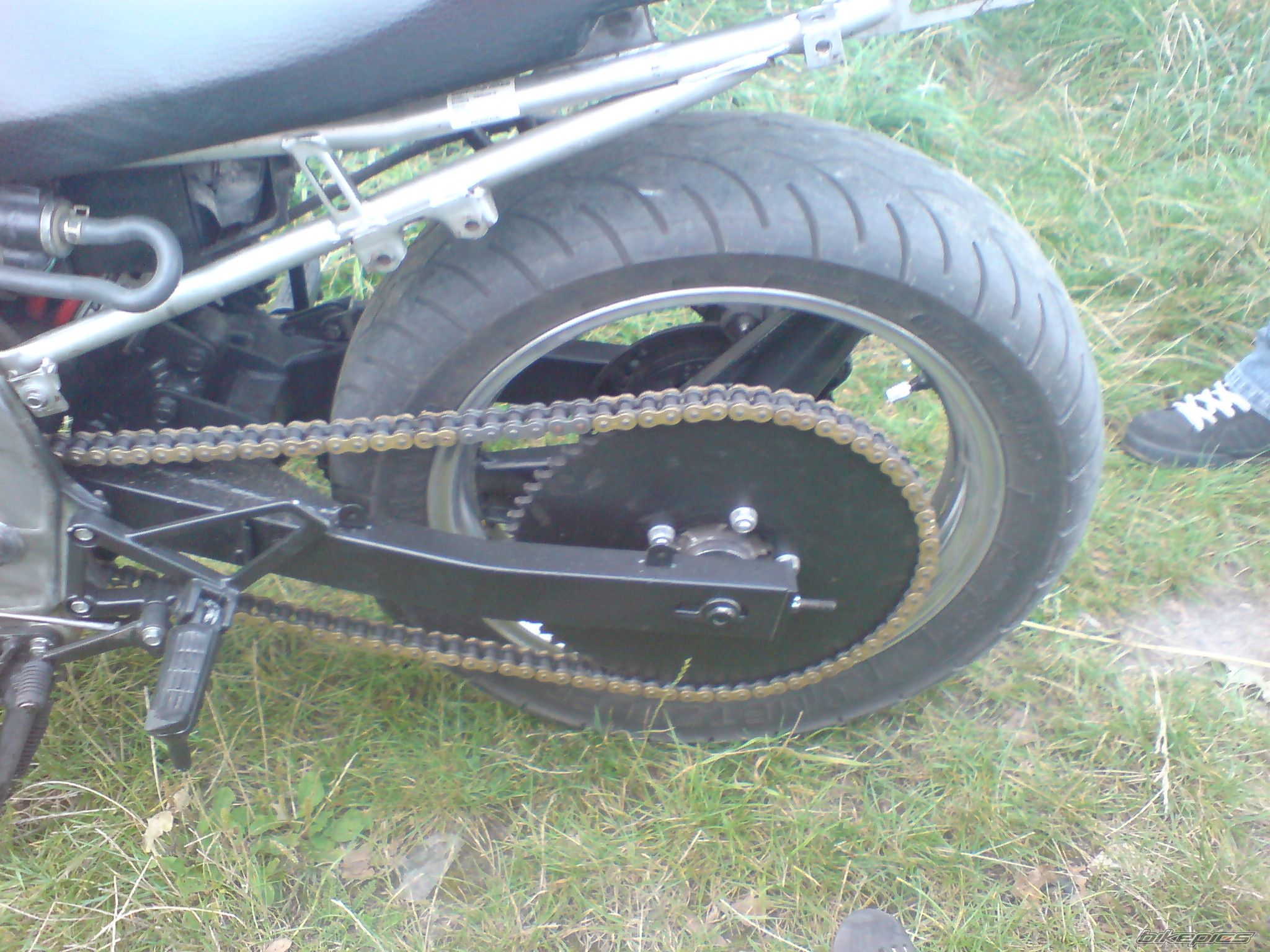 Photo 1328134