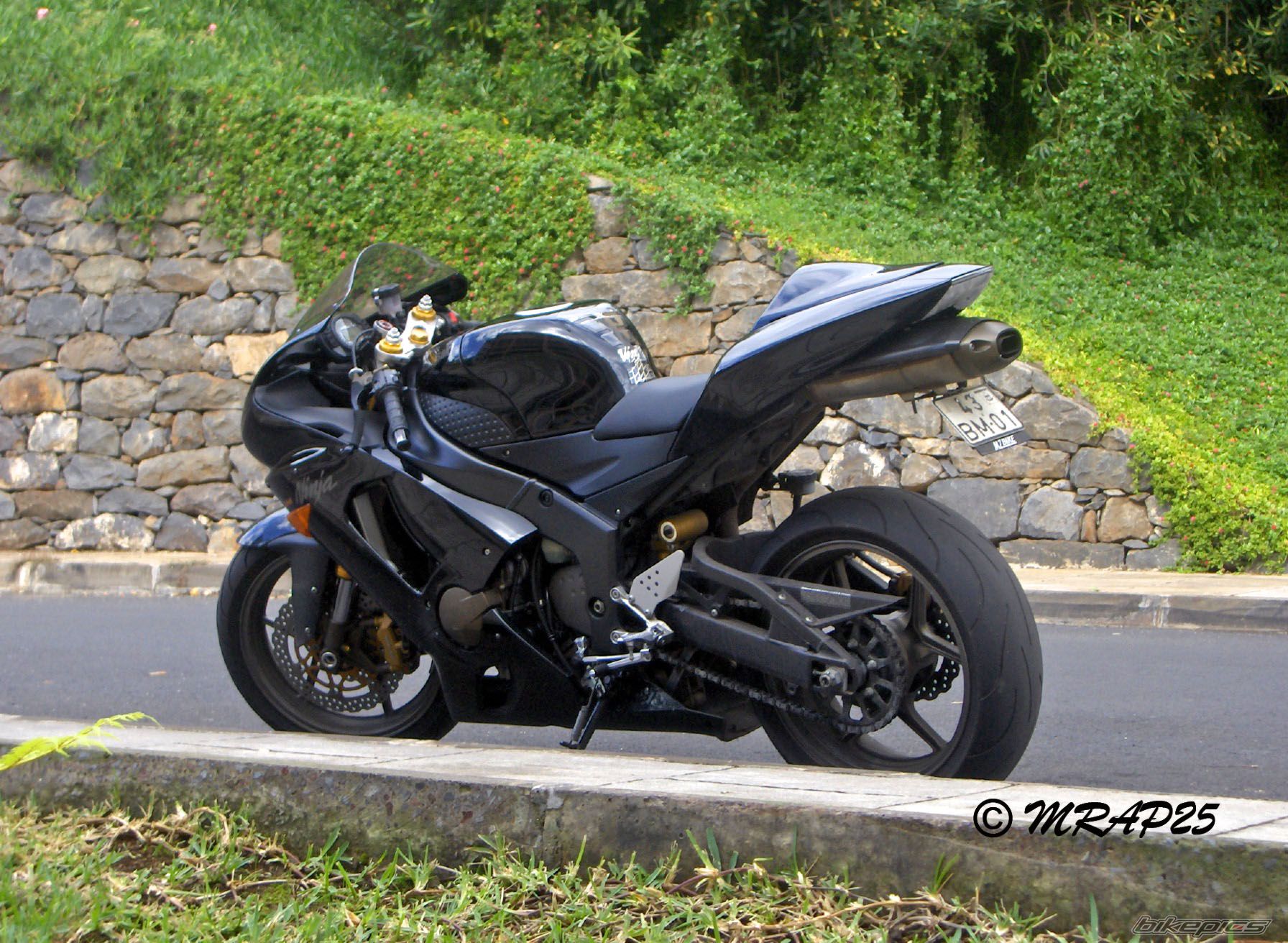 Photo 1328202