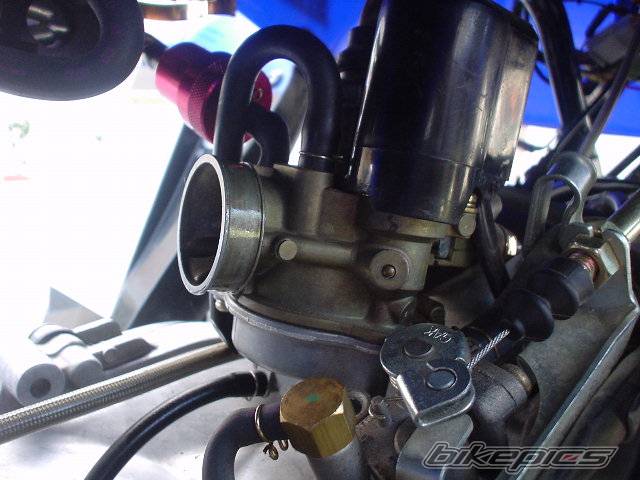 Photo 132821