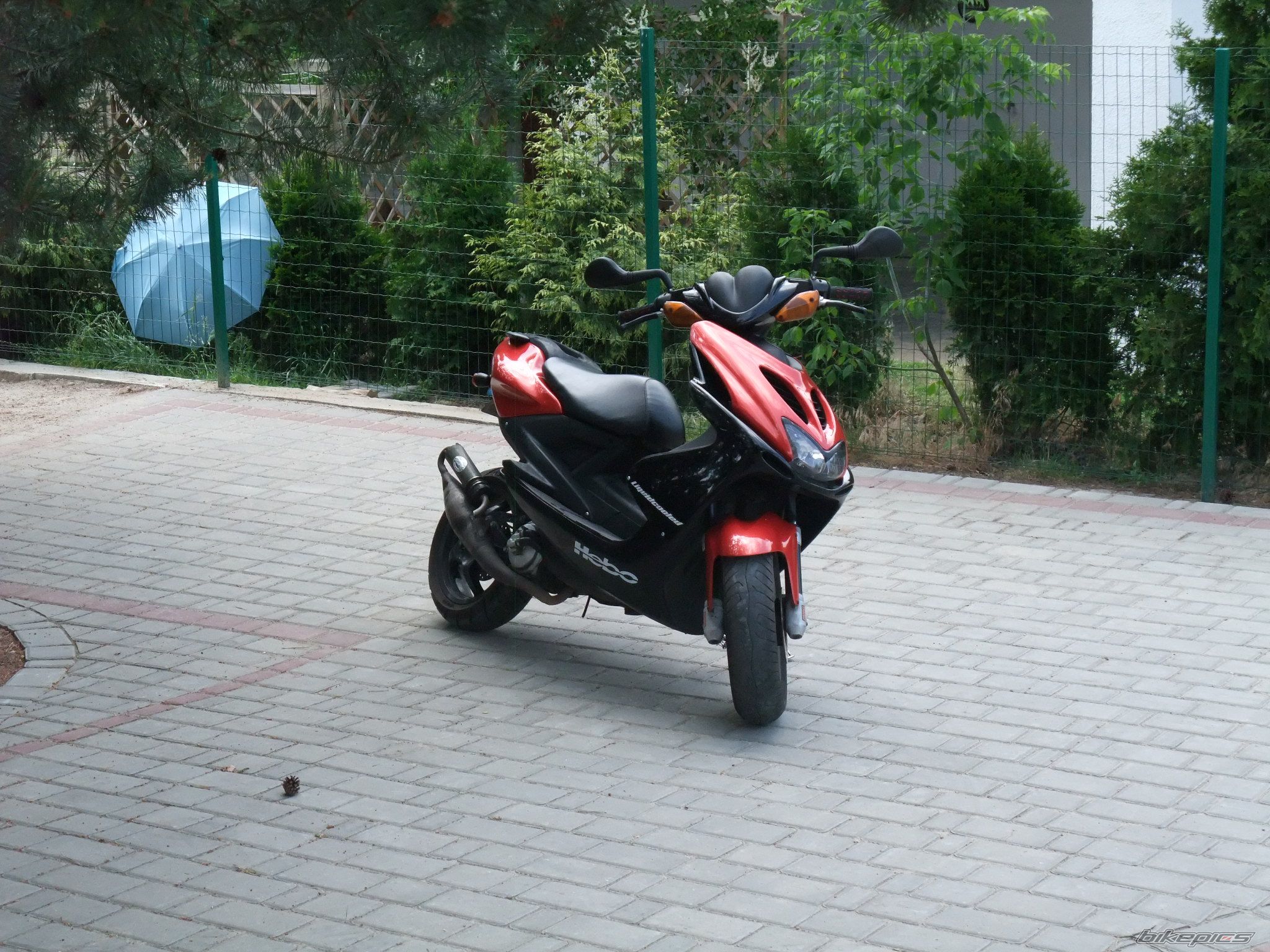 Photo 1328223